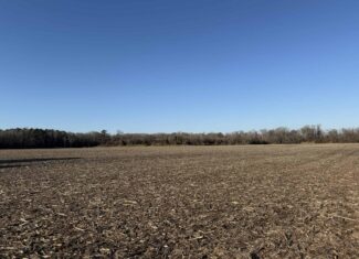 43-Acre Hunting & Farm Land Near Pungo Refuge on Hwy 45