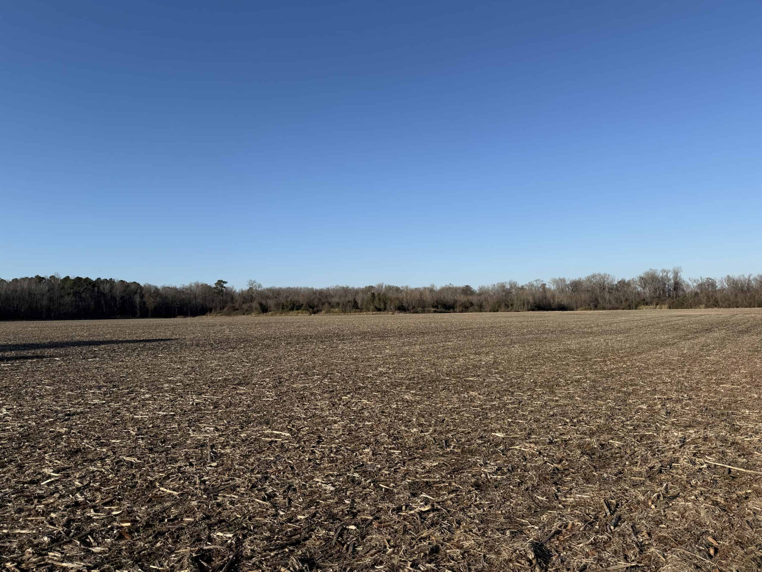 43-Acre Hunting & Farm Land Near Pungo Refuge on Hwy 45