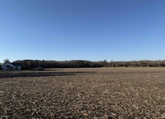43-Acre Hunting & Farm Land Near Pungo Refuge on Hwy 45