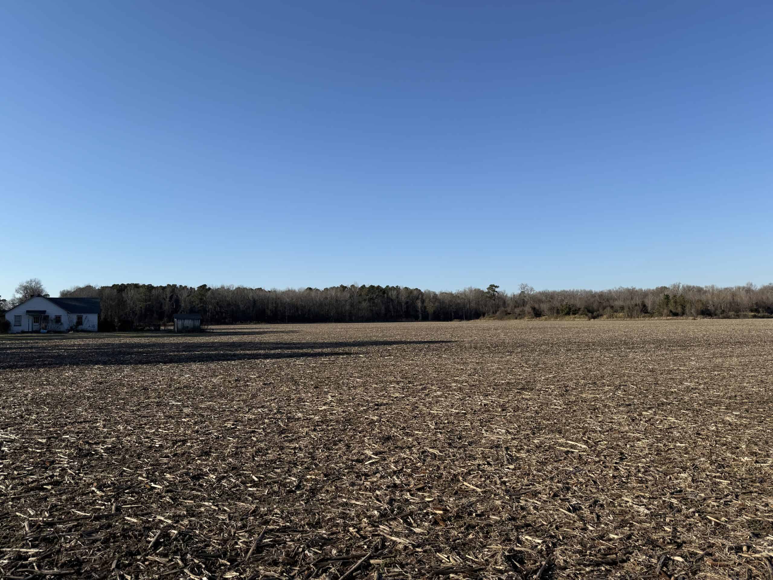 43-Acre Hunting & Farm Land Near Pungo Refuge on Hwy 45