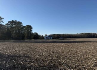 43-Acre Hunting & Farm Land Near Pungo Refuge on Hwy 45