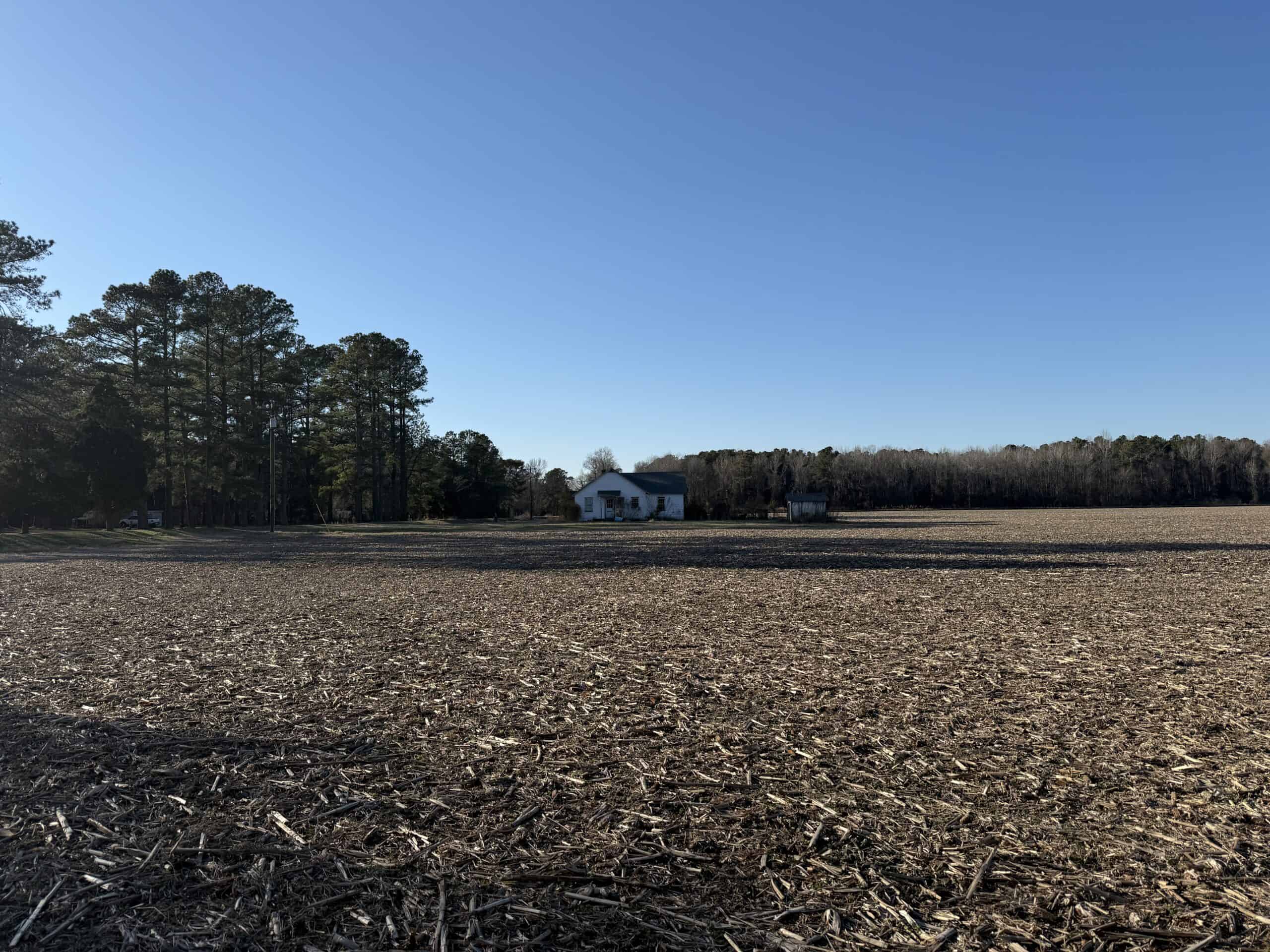 43-Acre Hunting & Farm Land Near Pungo Refuge on Hwy 45