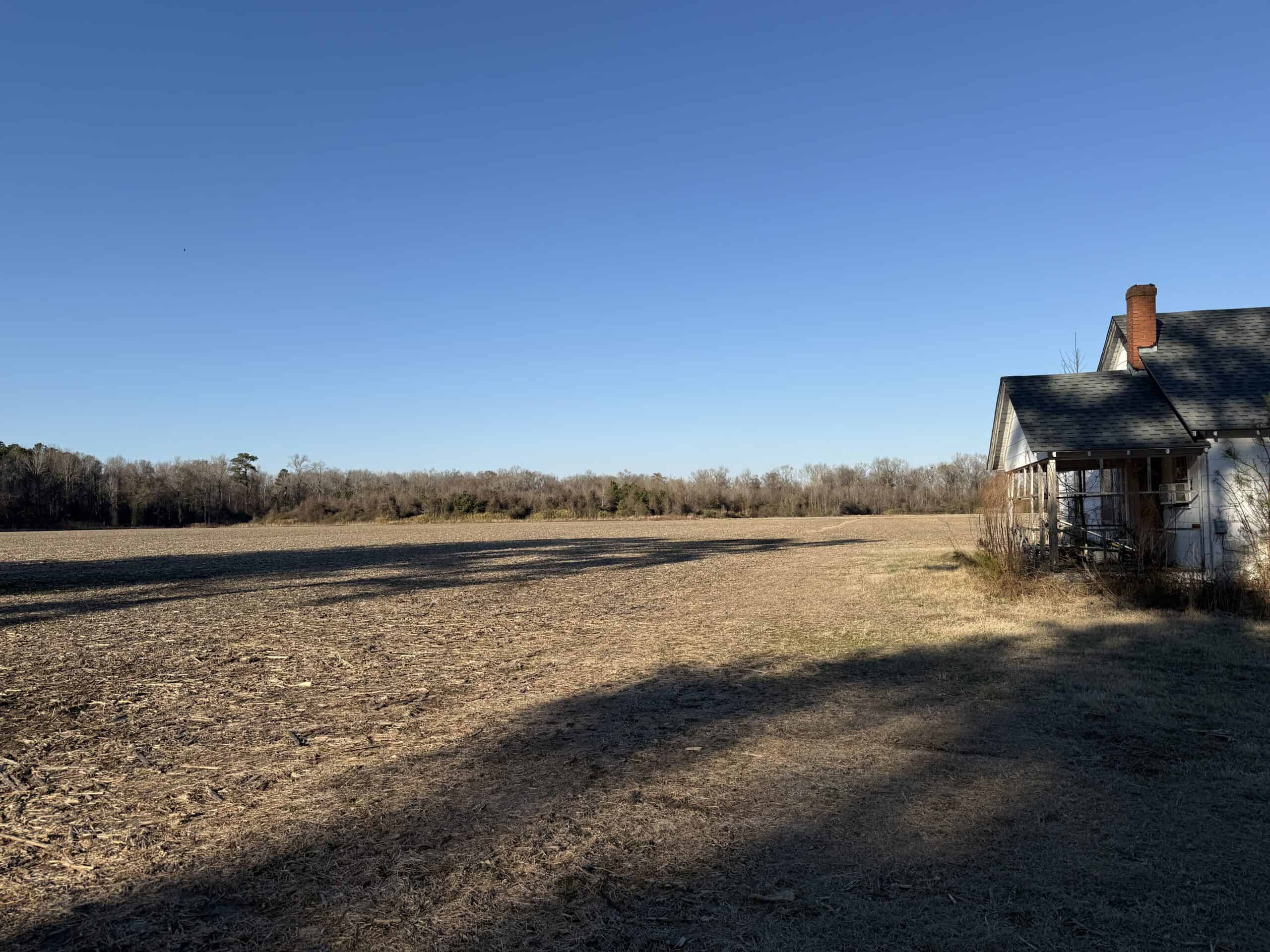 43-Acre Hunting & Farm Land Near Pungo Refuge on Hwy 45