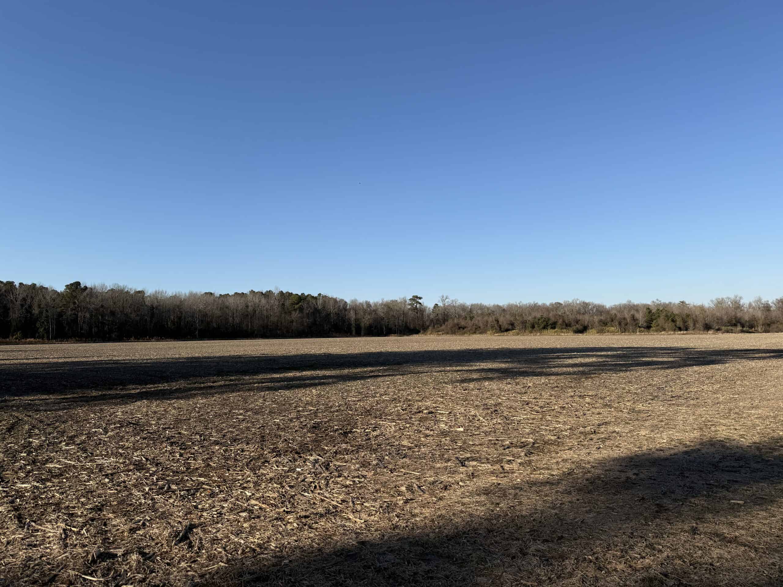 43-Acre Hunting & Farm Land Near Pungo Refuge on Hwy 45