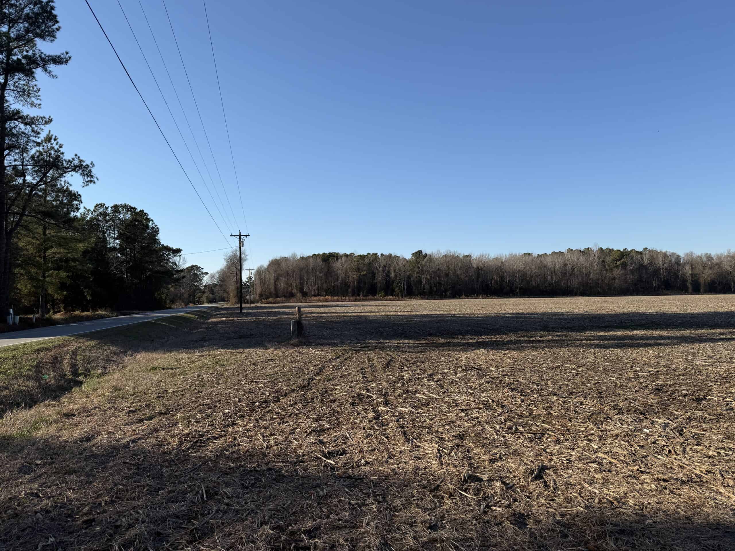 43-Acre Hunting & Farm Land Near Pungo Refuge on Hwy 45