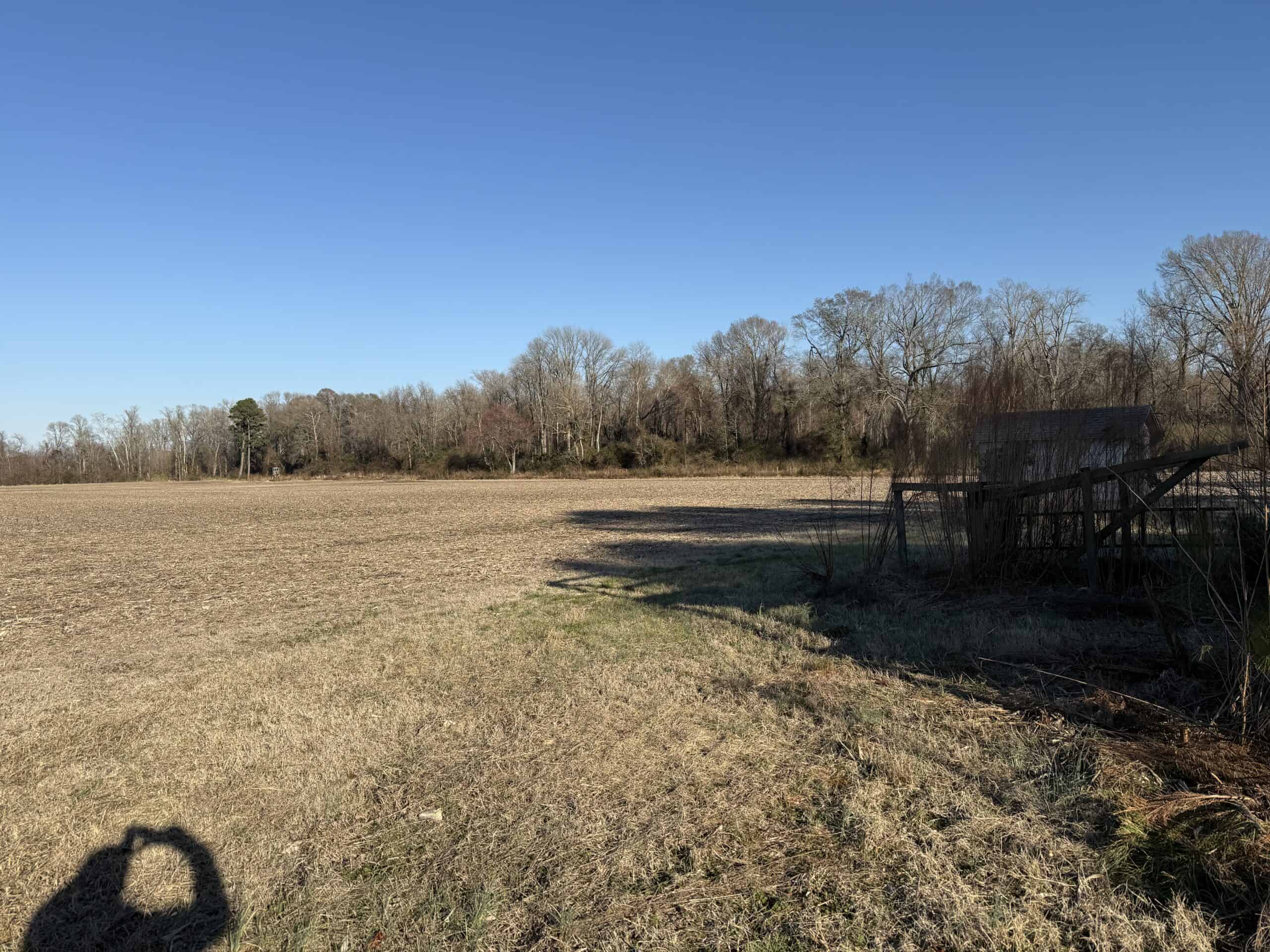 43-Acre Hunting & Farm Land Near Pungo Refuge on Hwy 45