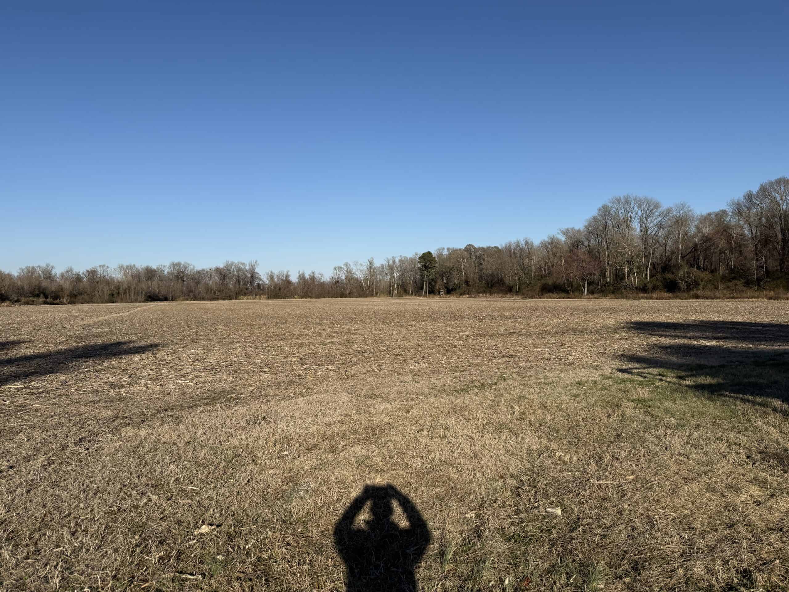 43-Acre Hunting & Farm Land Near Pungo Refuge on Hwy 45