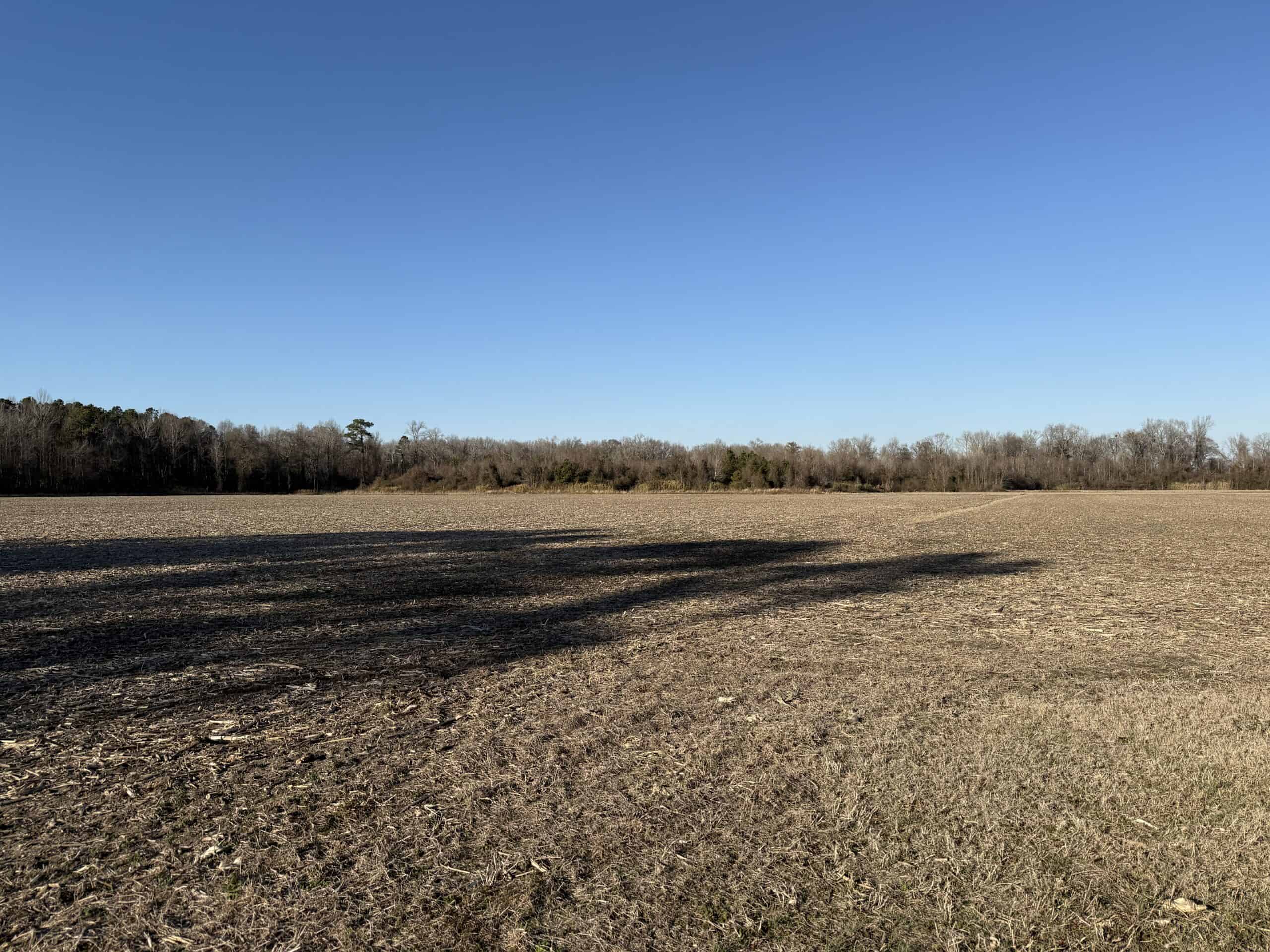 43-Acre Hunting & Farm Land Near Pungo Refuge on Hwy 45
