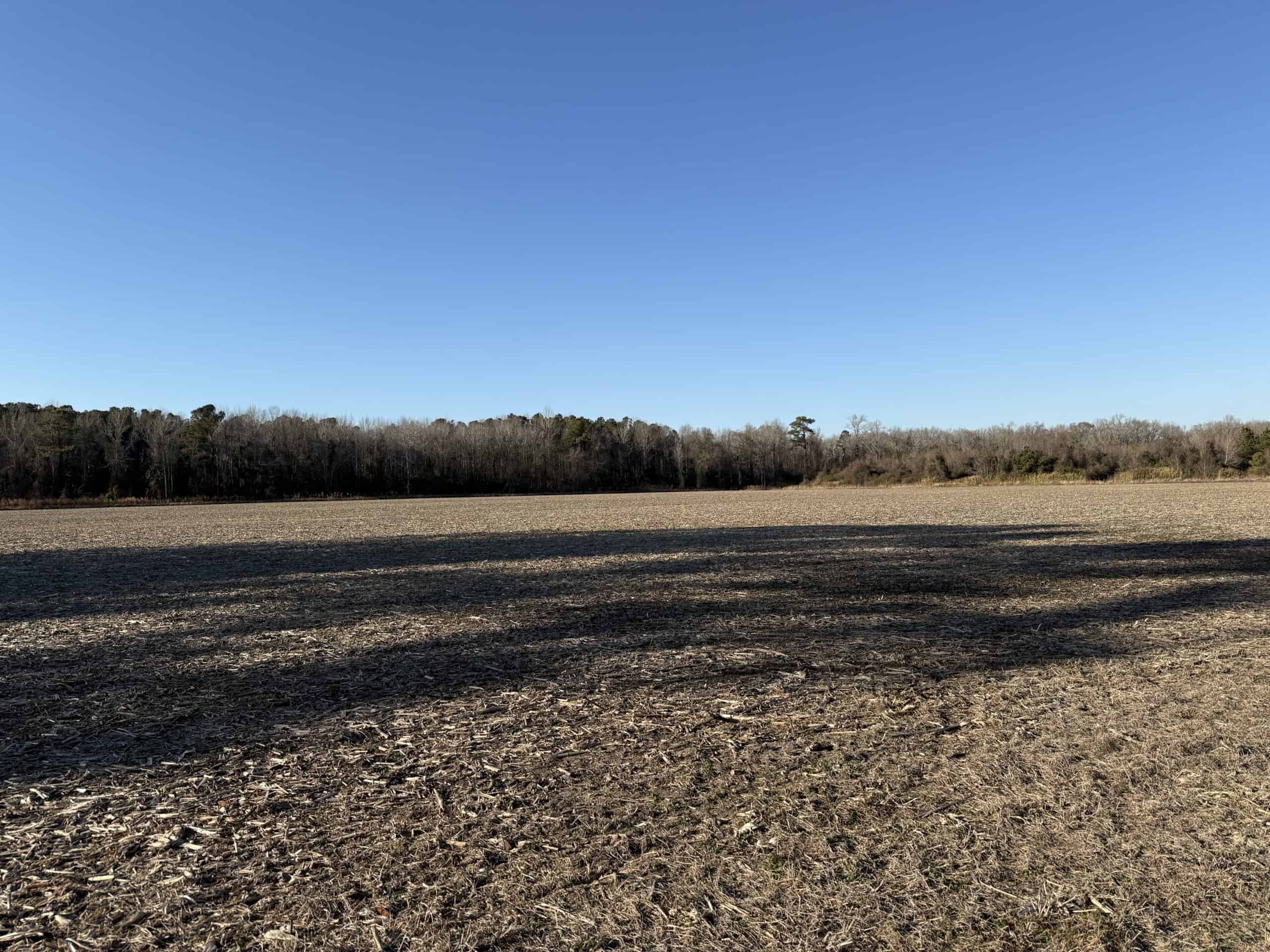 43-Acre Hunting & Farm Land Near Pungo Refuge on Hwy 45