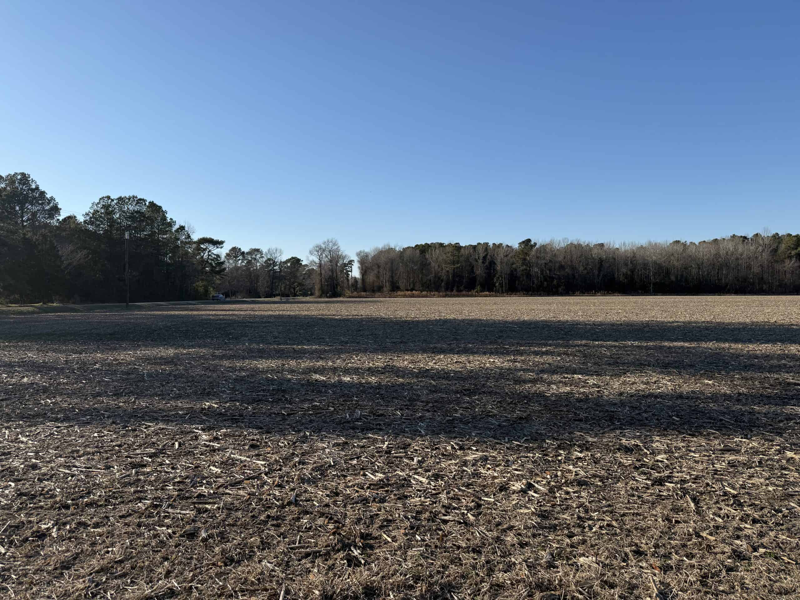 43-Acre Hunting & Farm Land Near Pungo Refuge on Hwy 45
