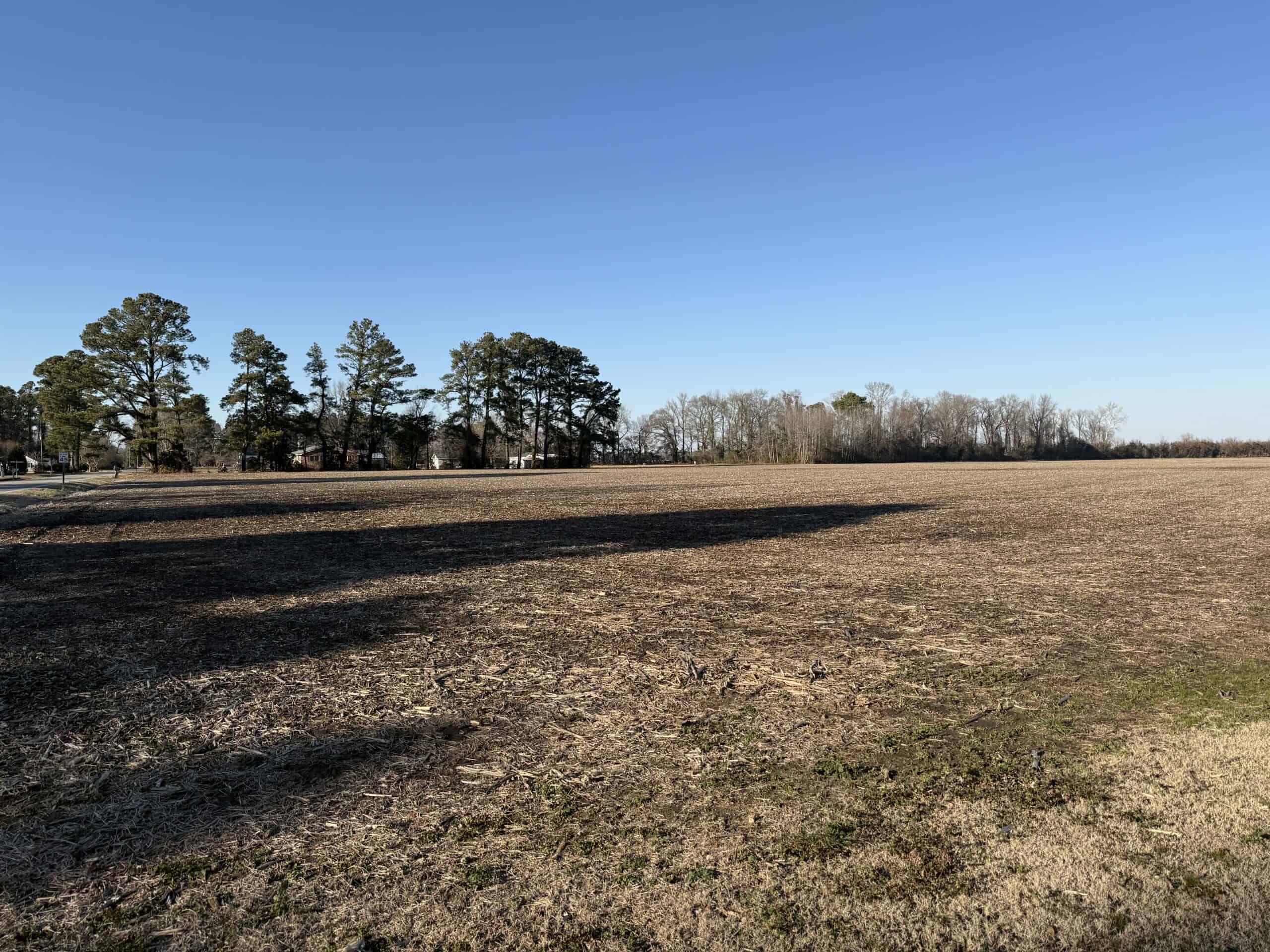 43-Acre Hunting & Farm Land Near Pungo Refuge on Hwy 45