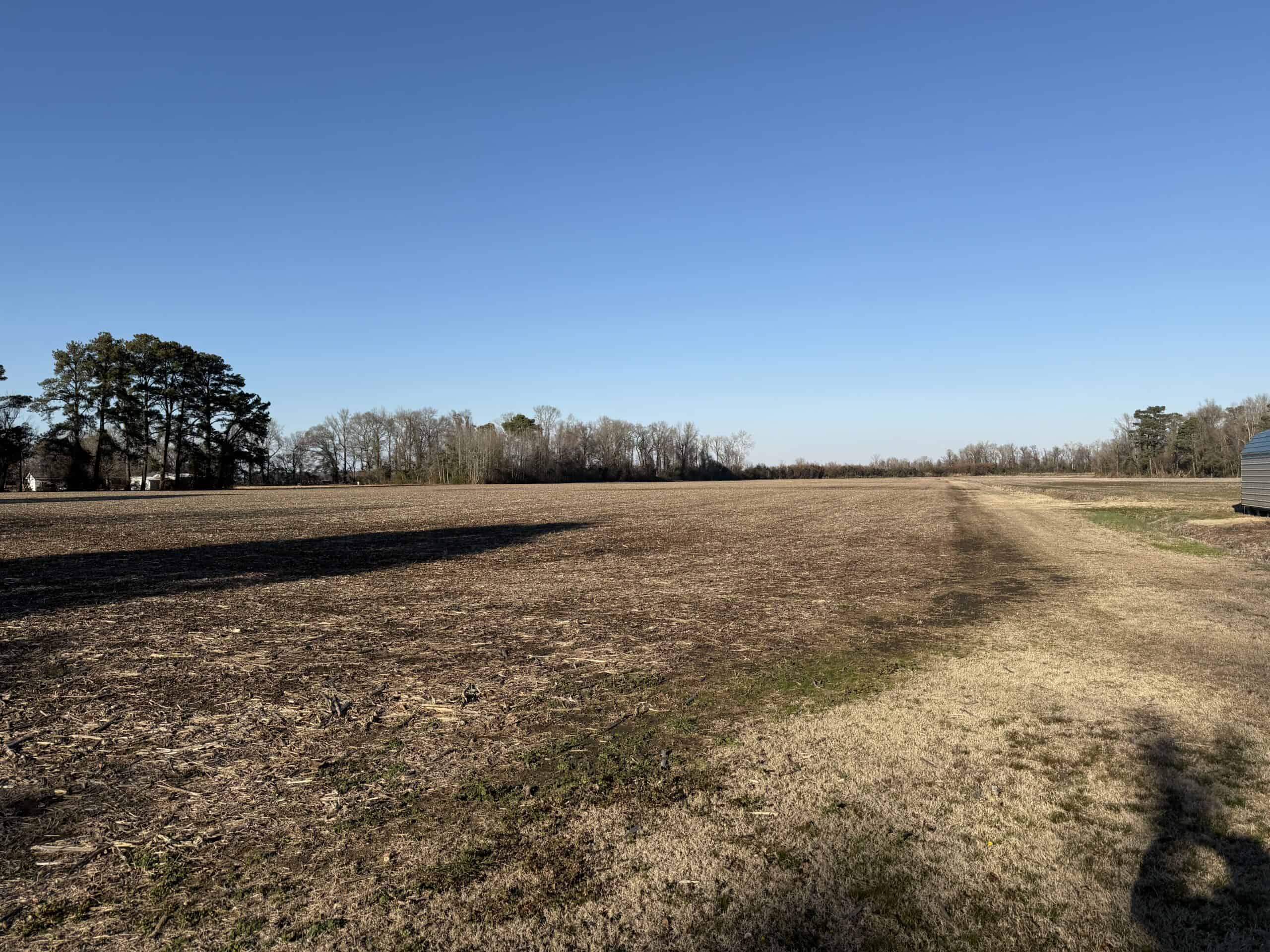 43-Acre Hunting & Farm Land Near Pungo Refuge on Hwy 45