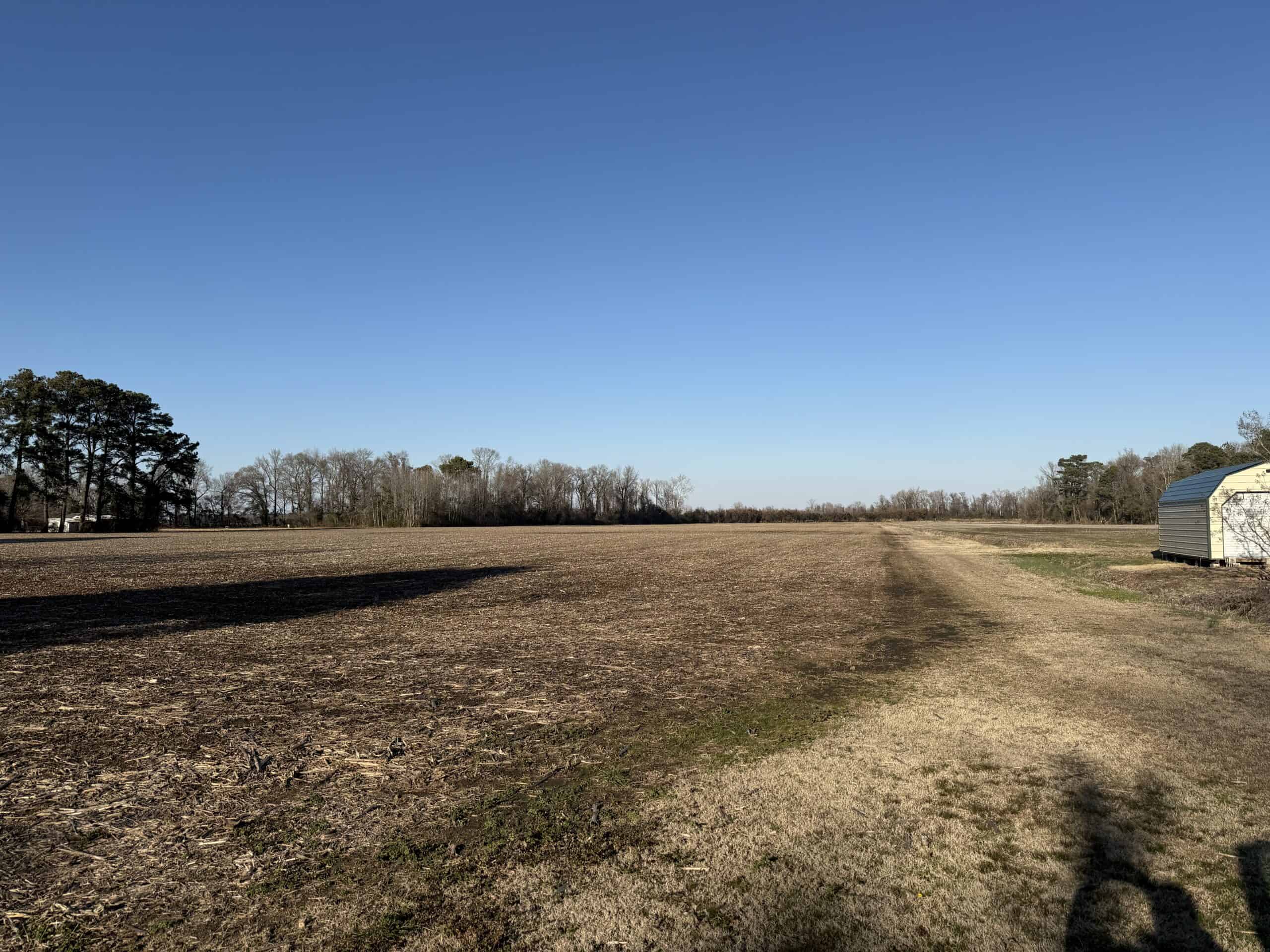 43-Acre Hunting & Farm Land Near Pungo Refuge on Hwy 45