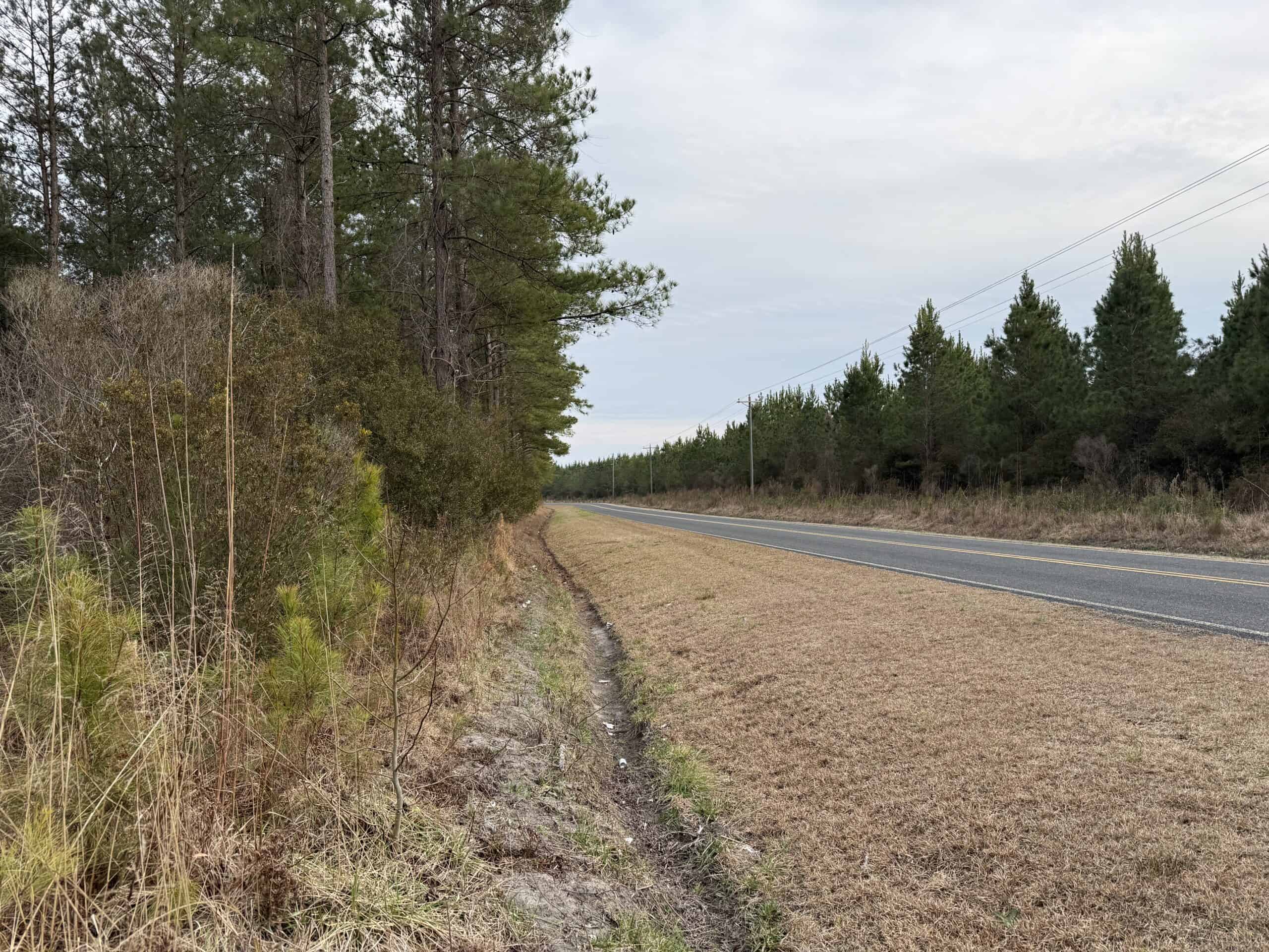 21 Acres Timberland & Hunting Near New Bern NC