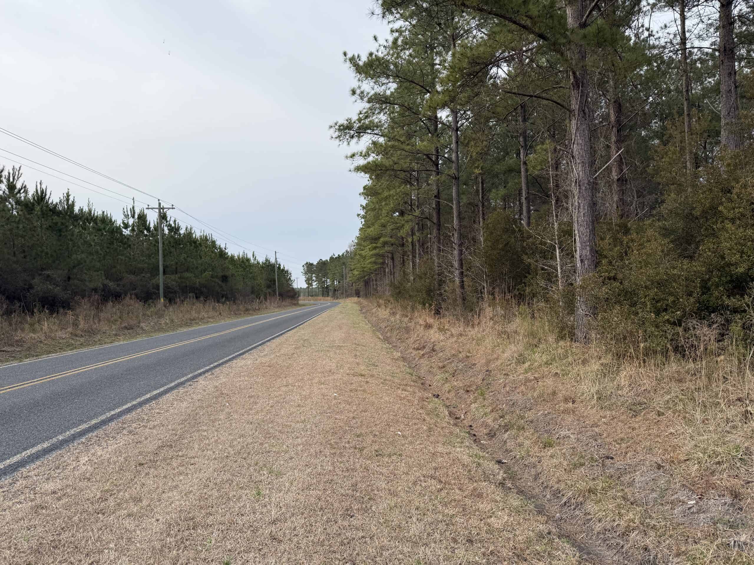 21 Acres Timberland & Hunting Near New Bern NC