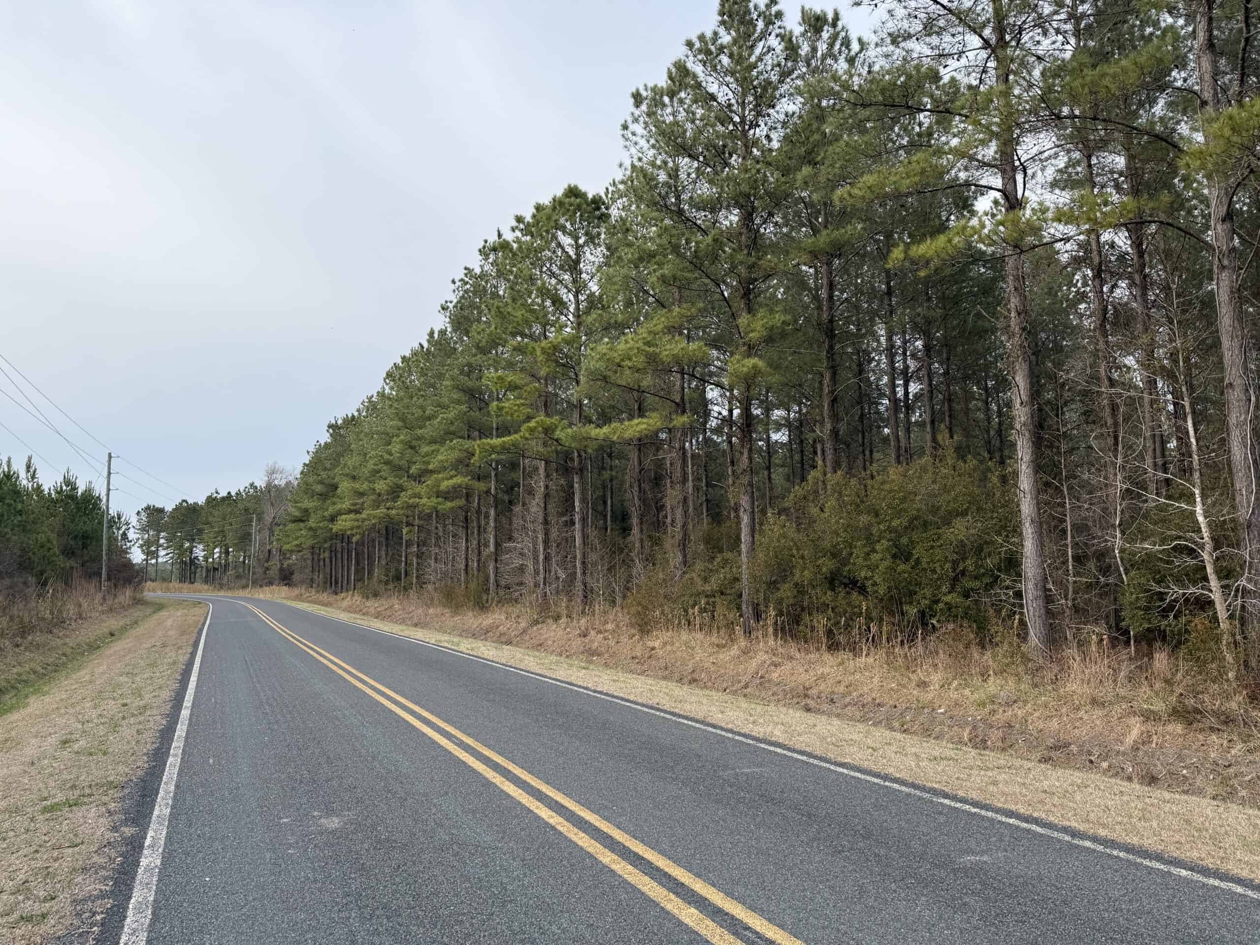 21 Acres Timberland & Hunting Near New Bern NC
