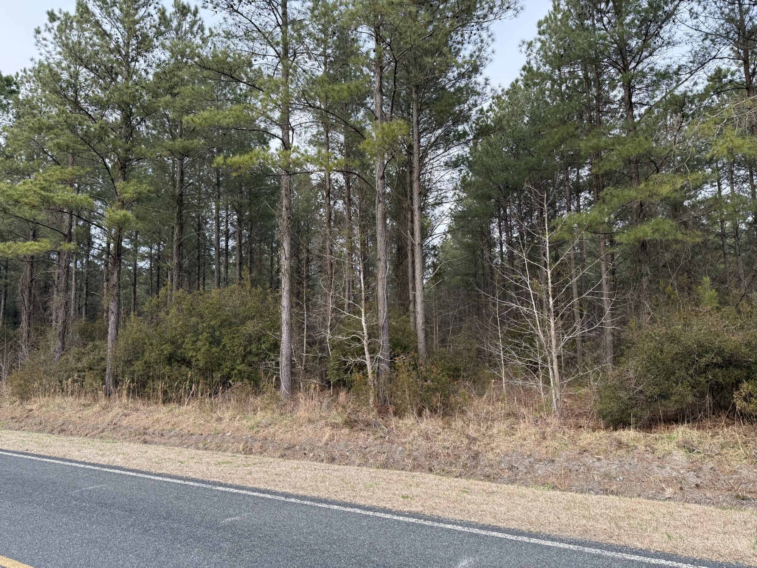 21 Acres Timberland & Hunting Near New Bern NC