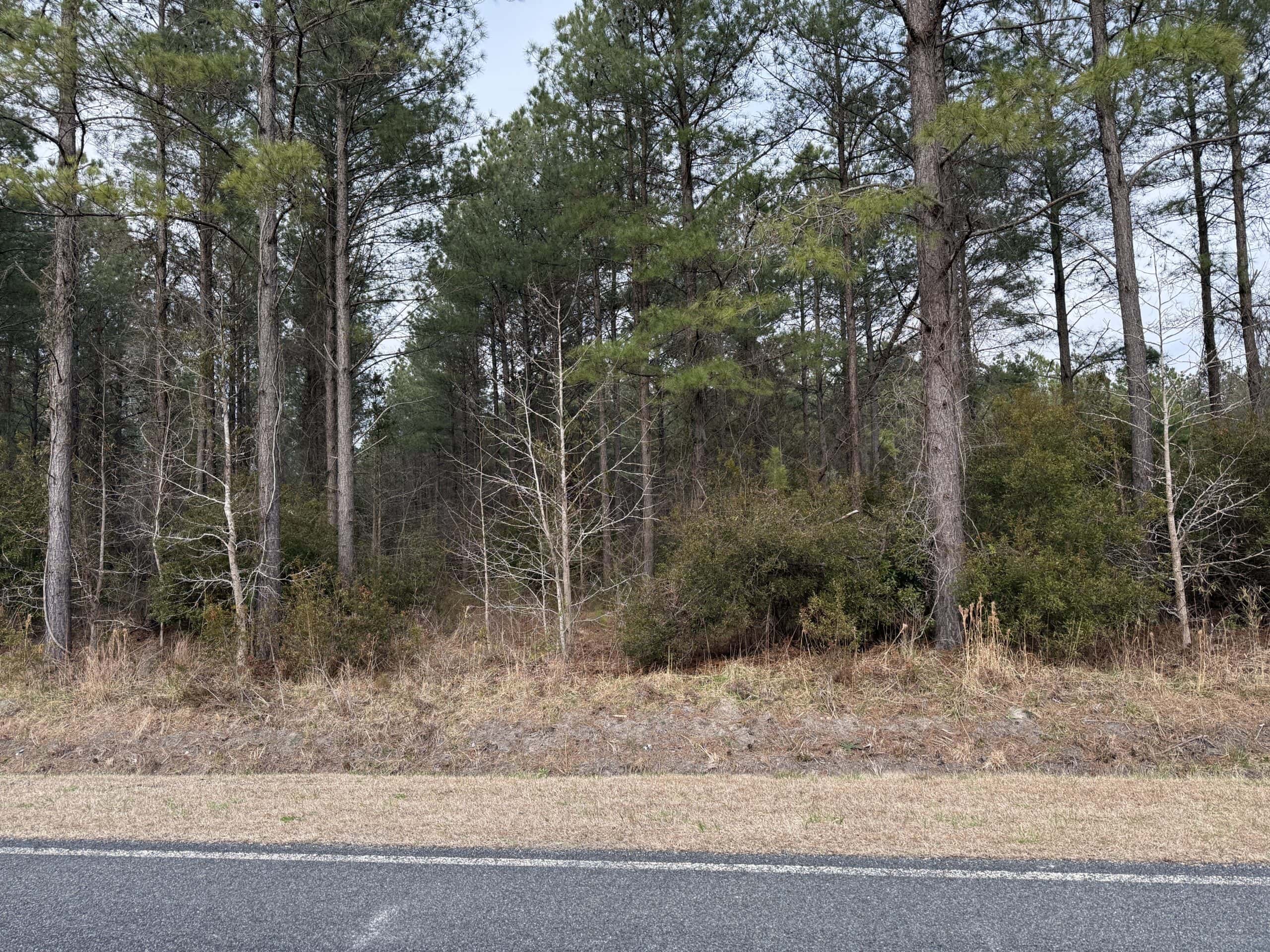 21 Acres Timberland & Hunting Near New Bern NC