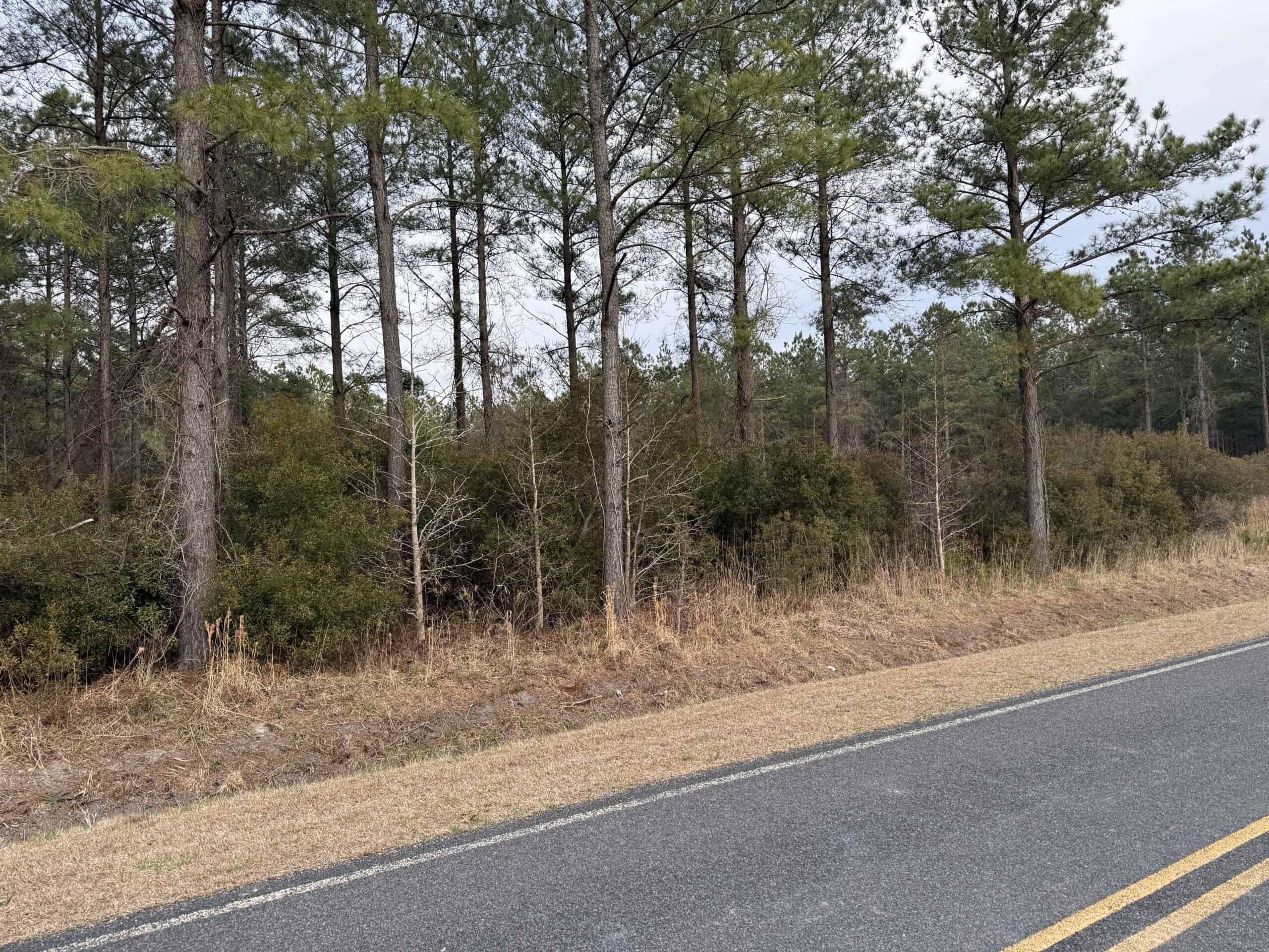 21 Acres Timberland & Hunting Near New Bern NC