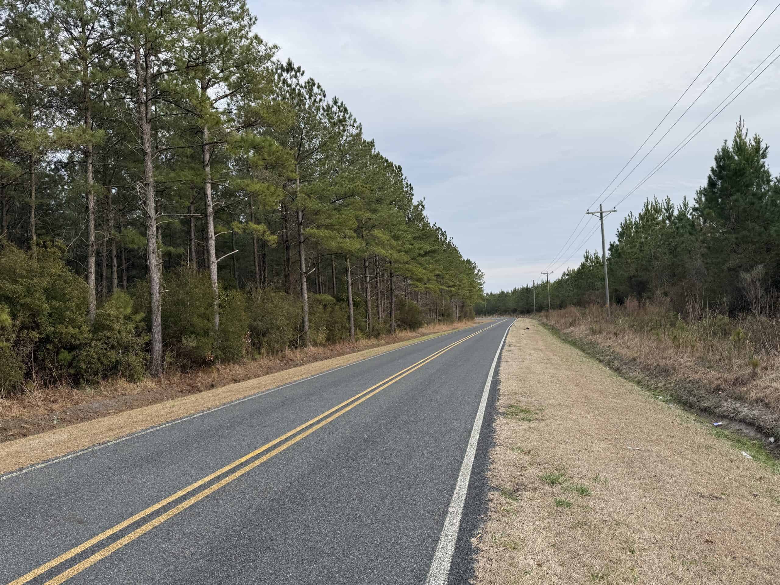 21 Acres Timberland & Hunting Near New Bern NC