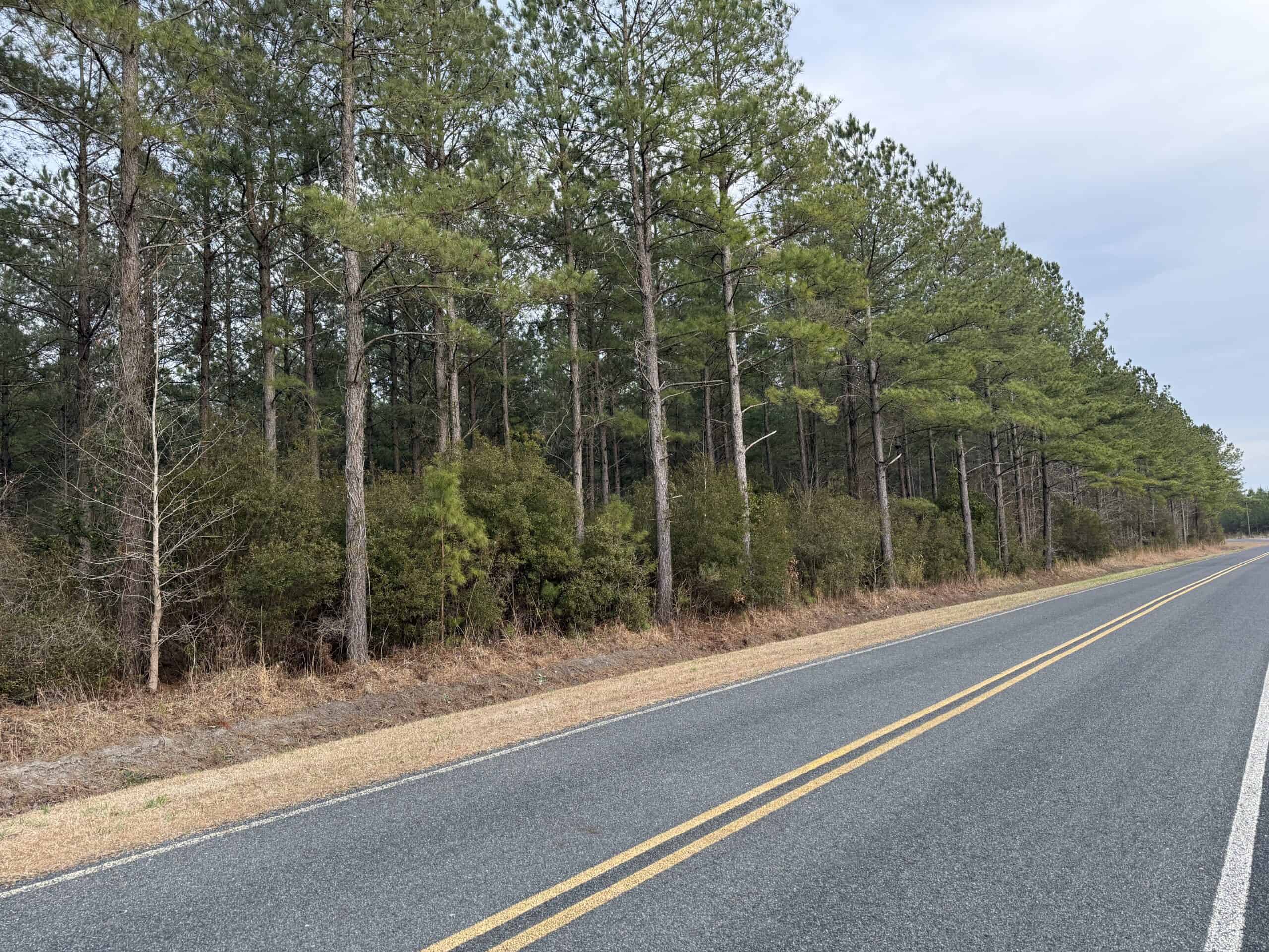 21 Acres Timberland & Hunting Near New Bern NC