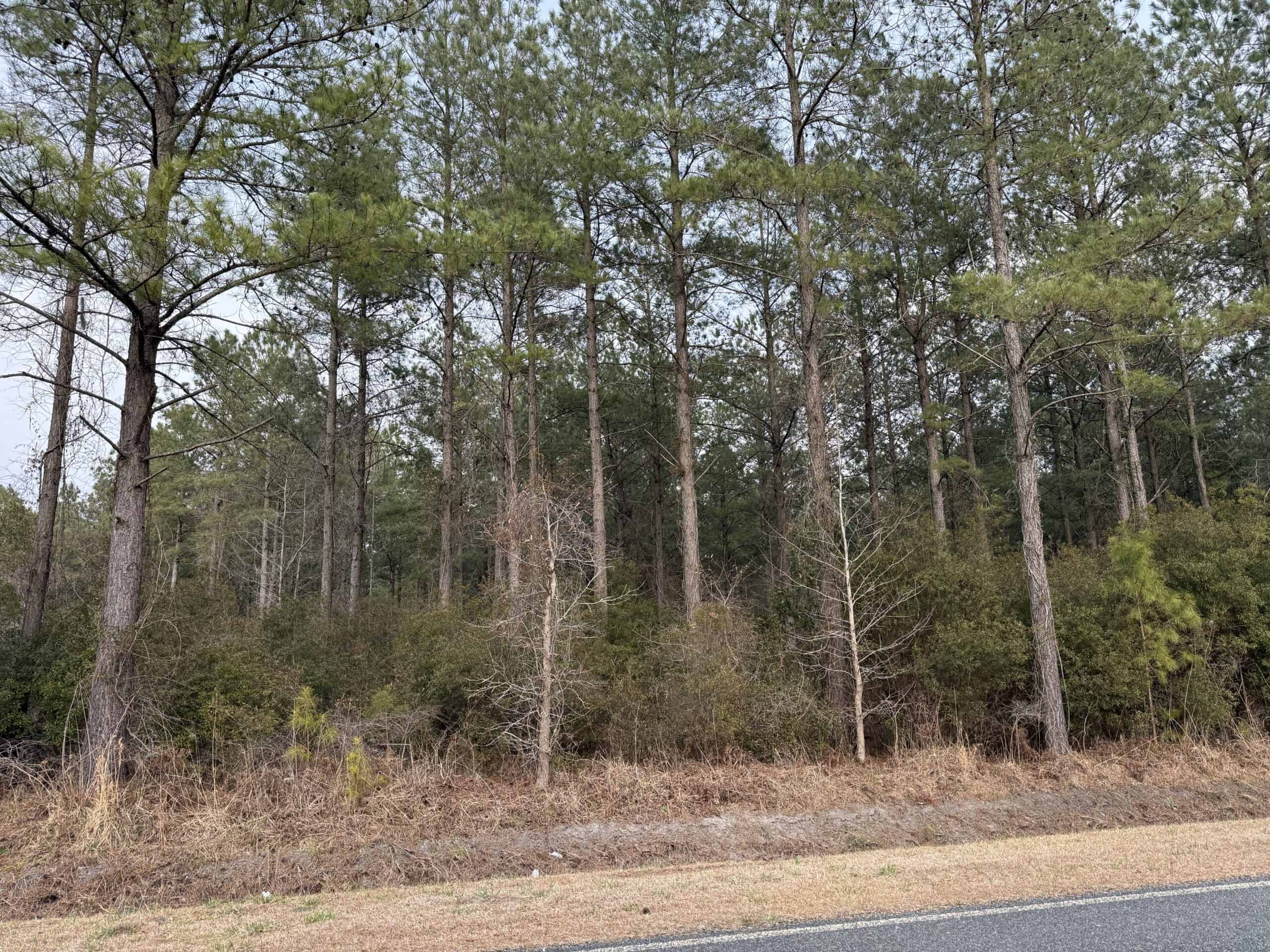 21 Acres Timberland & Hunting Near New Bern NC