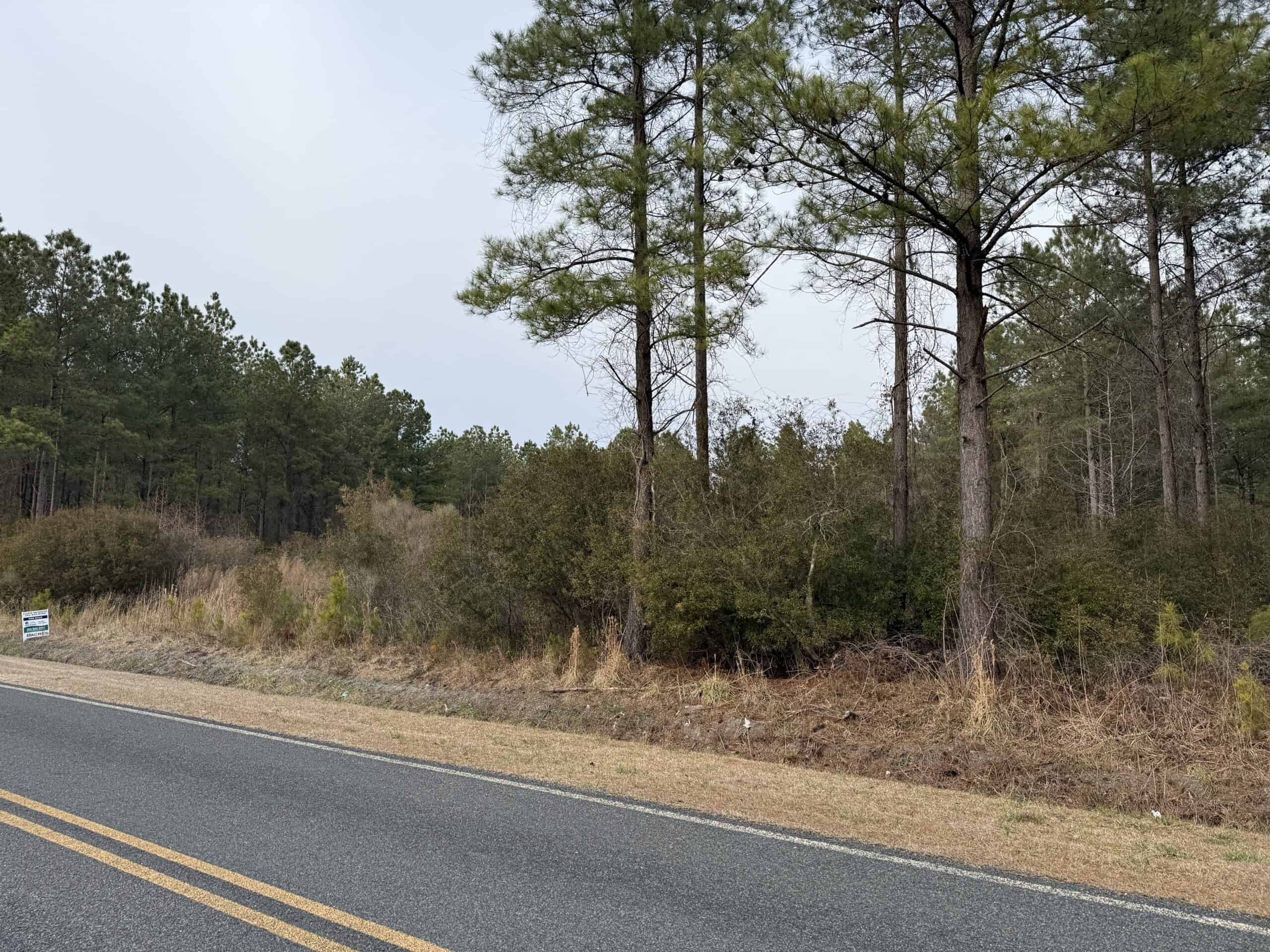 21 Acres Timberland & Hunting Near New Bern NC