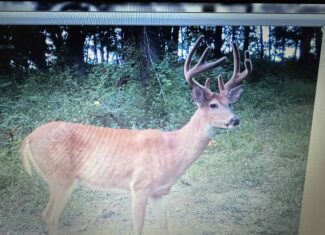 Prime Hunting and Income Property in Clark County, MO