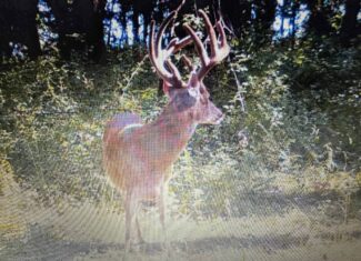 Prime Hunting and Income Property in Clark County, MO