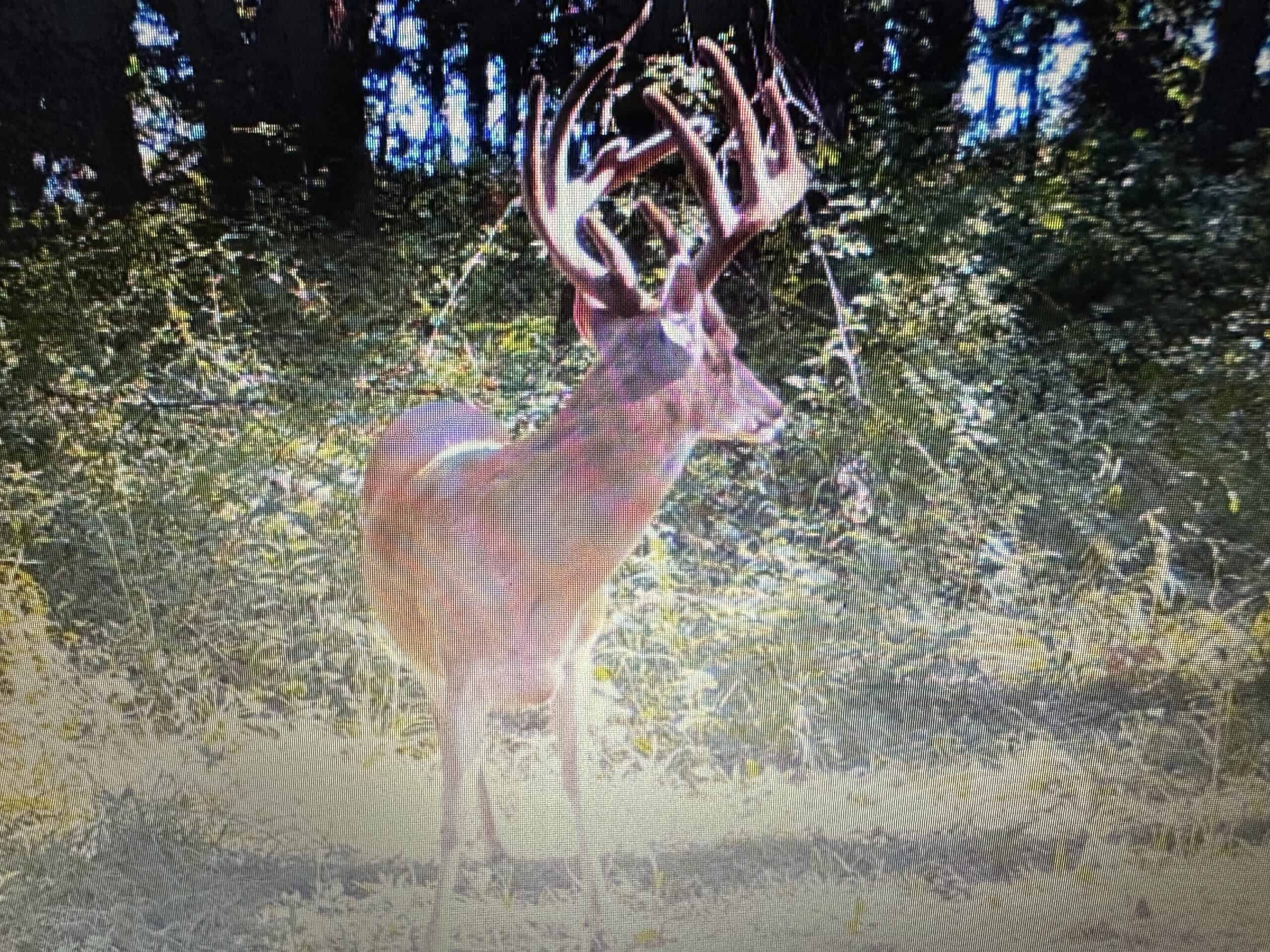 Prime Hunting and Income Property in Clark County, MO