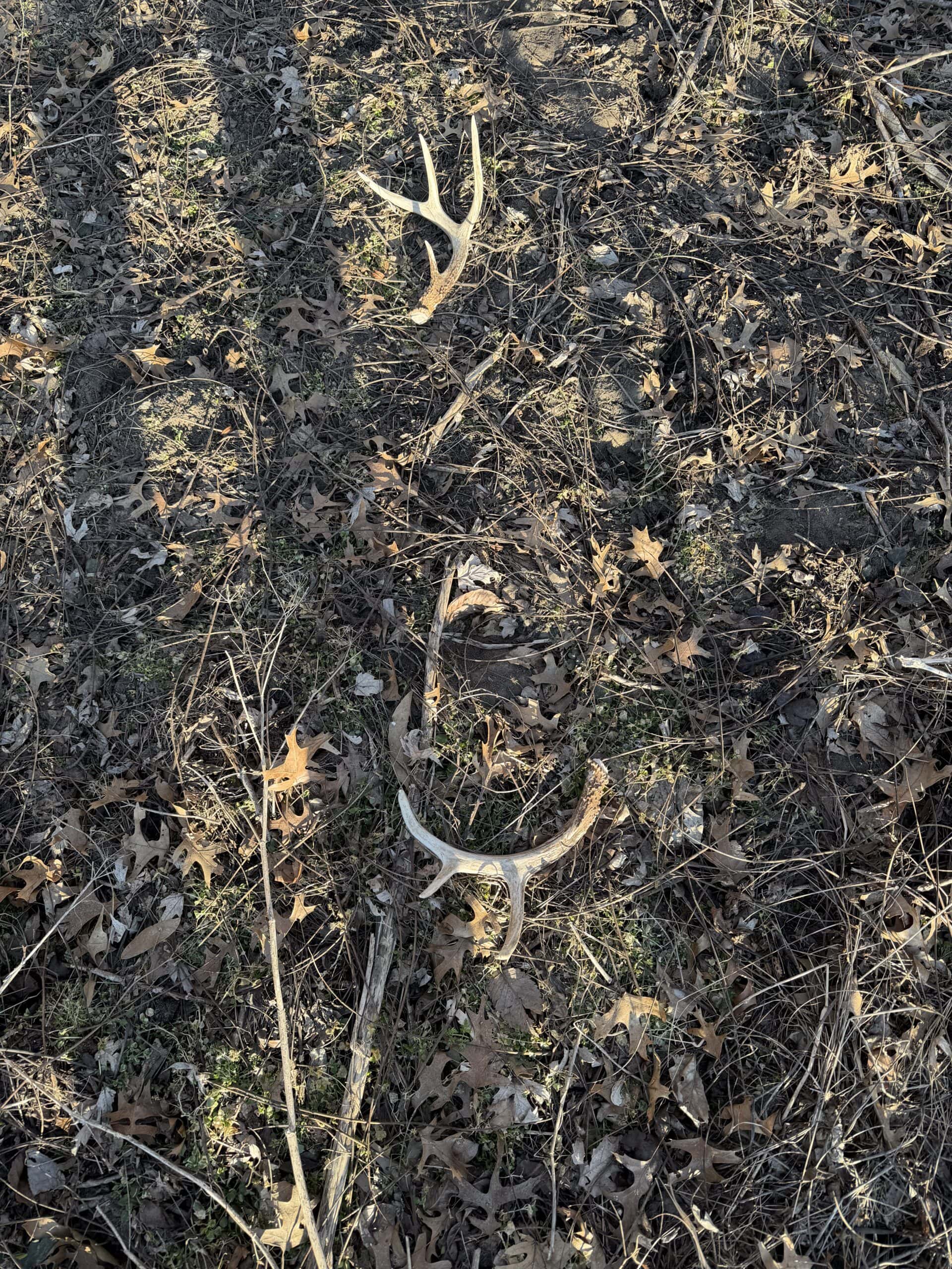 Prime Hunting and Income Property in Clark County, MO