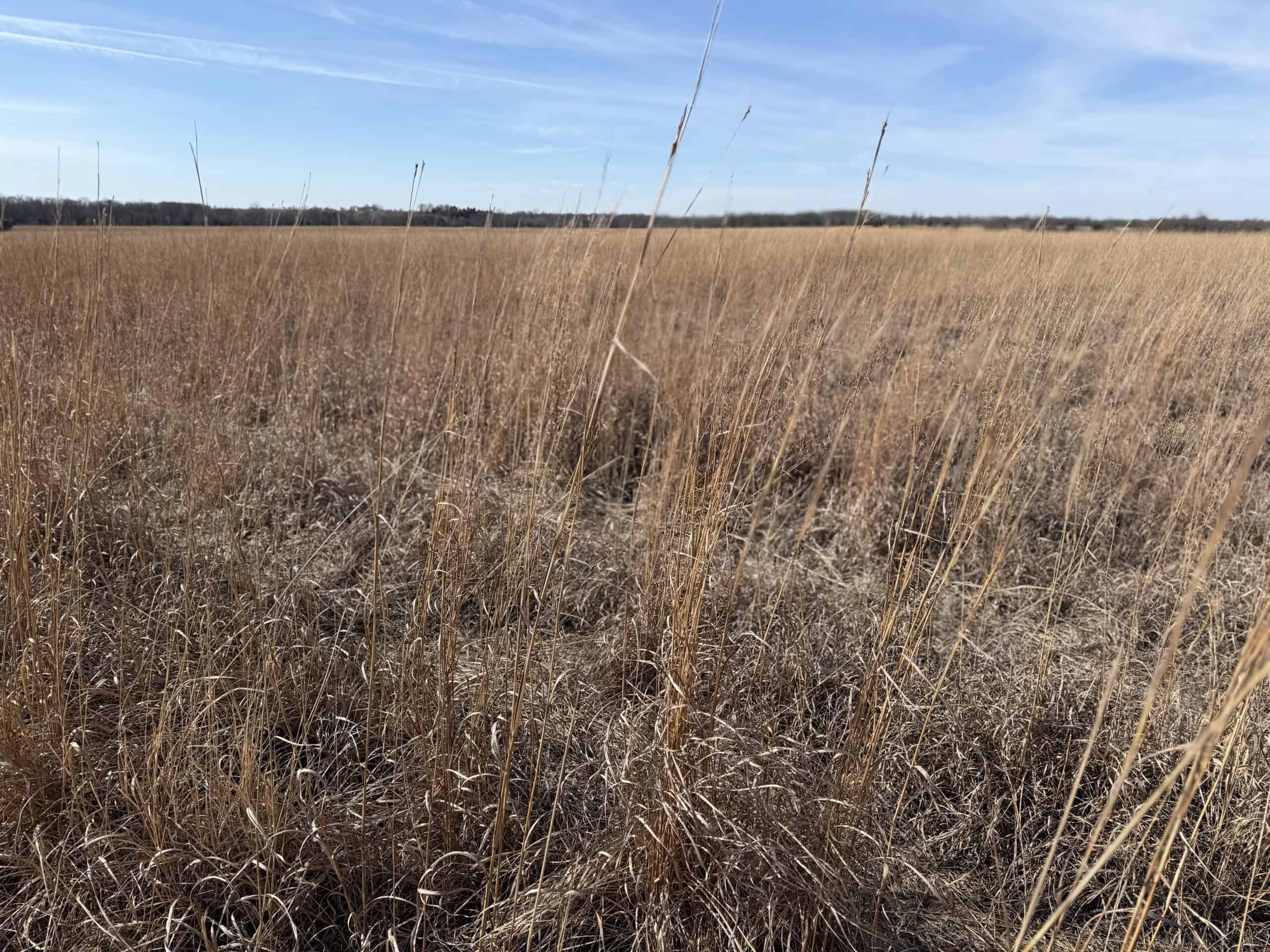 Excellent Building Site & Hunting Property in Coffey County Kansas