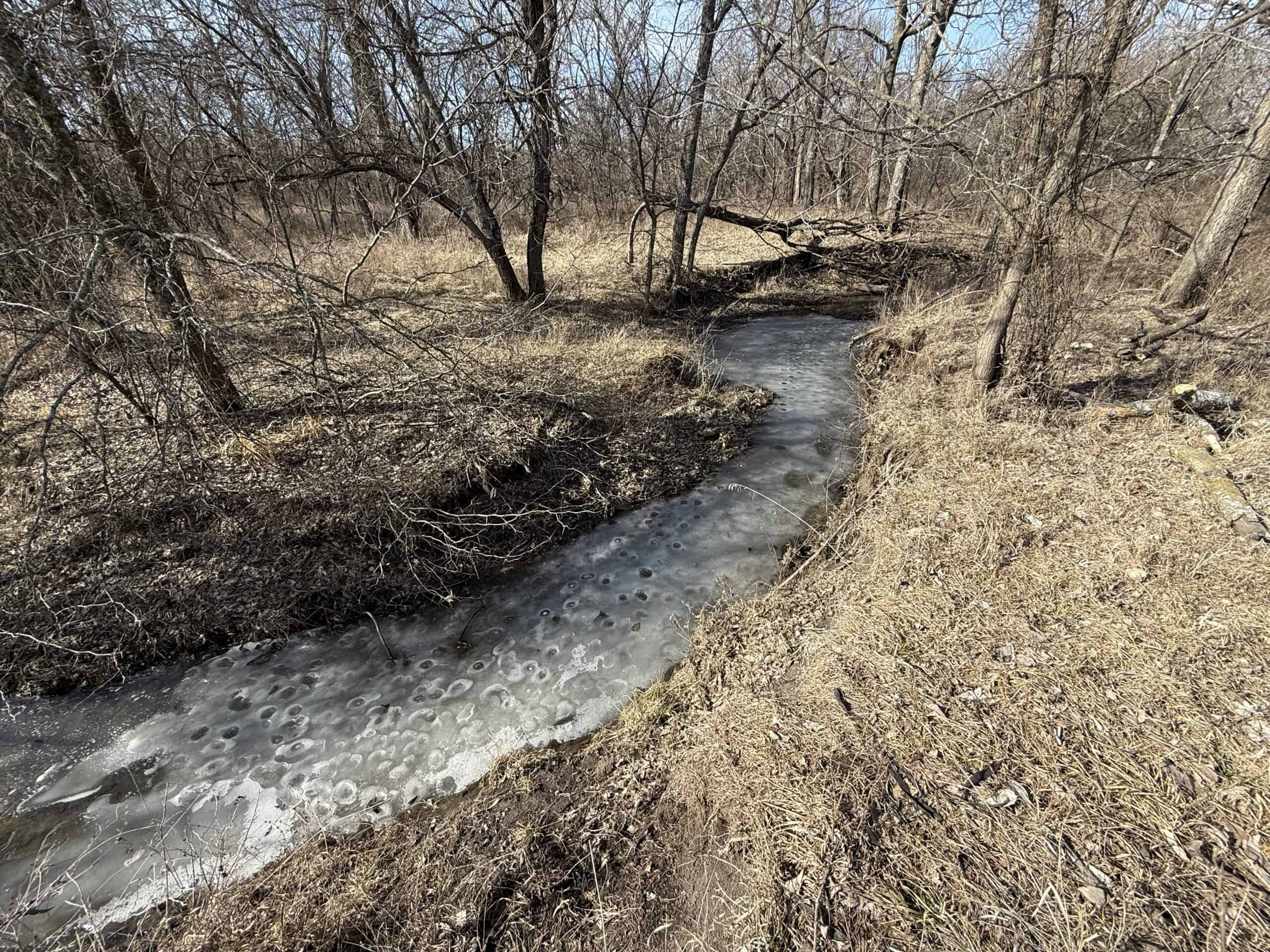 Excellent Building Site & Hunting Property in Coffey County Kansas