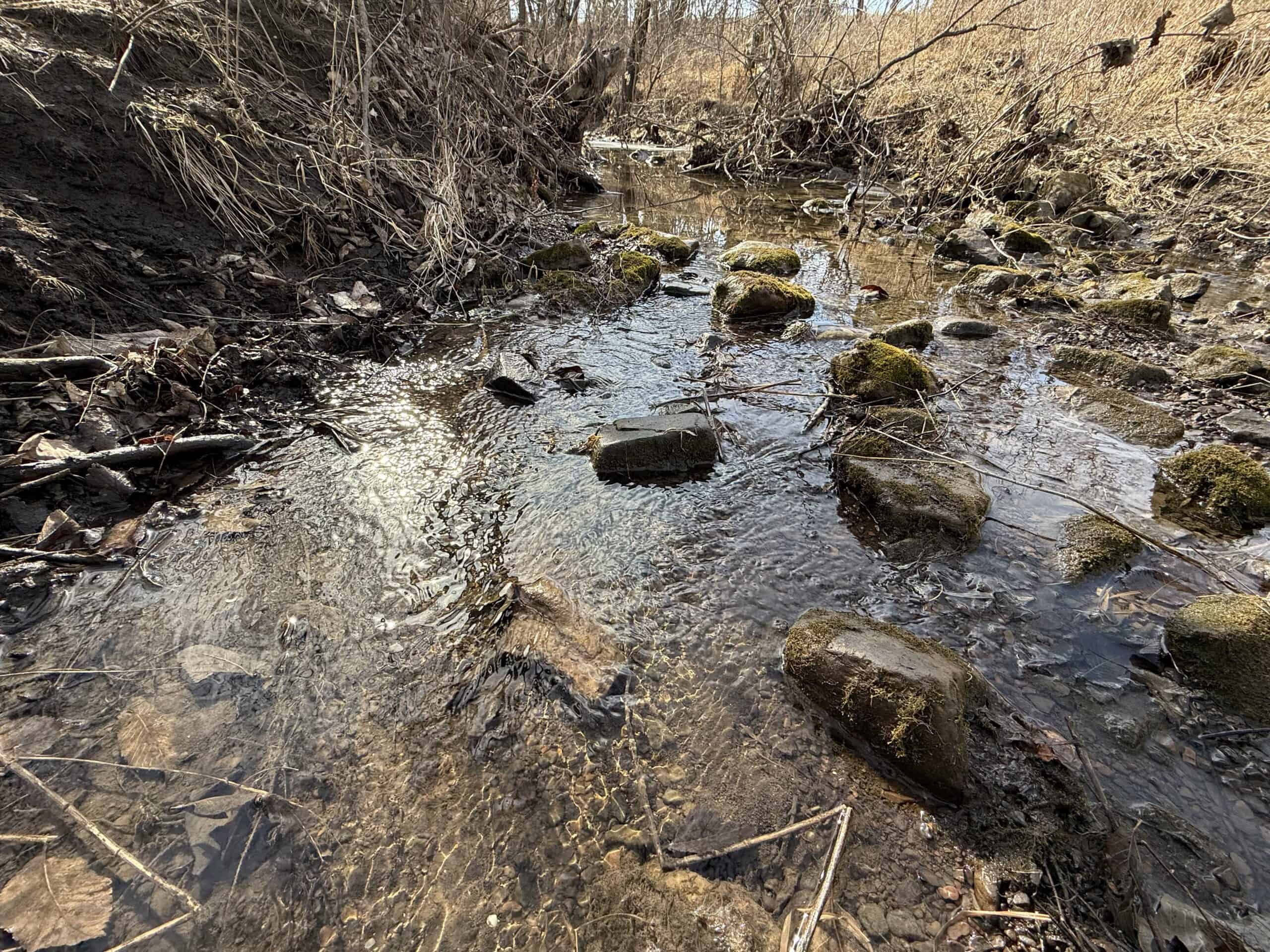 Excellent Building Site & Hunting Property in Coffey County Kansas
