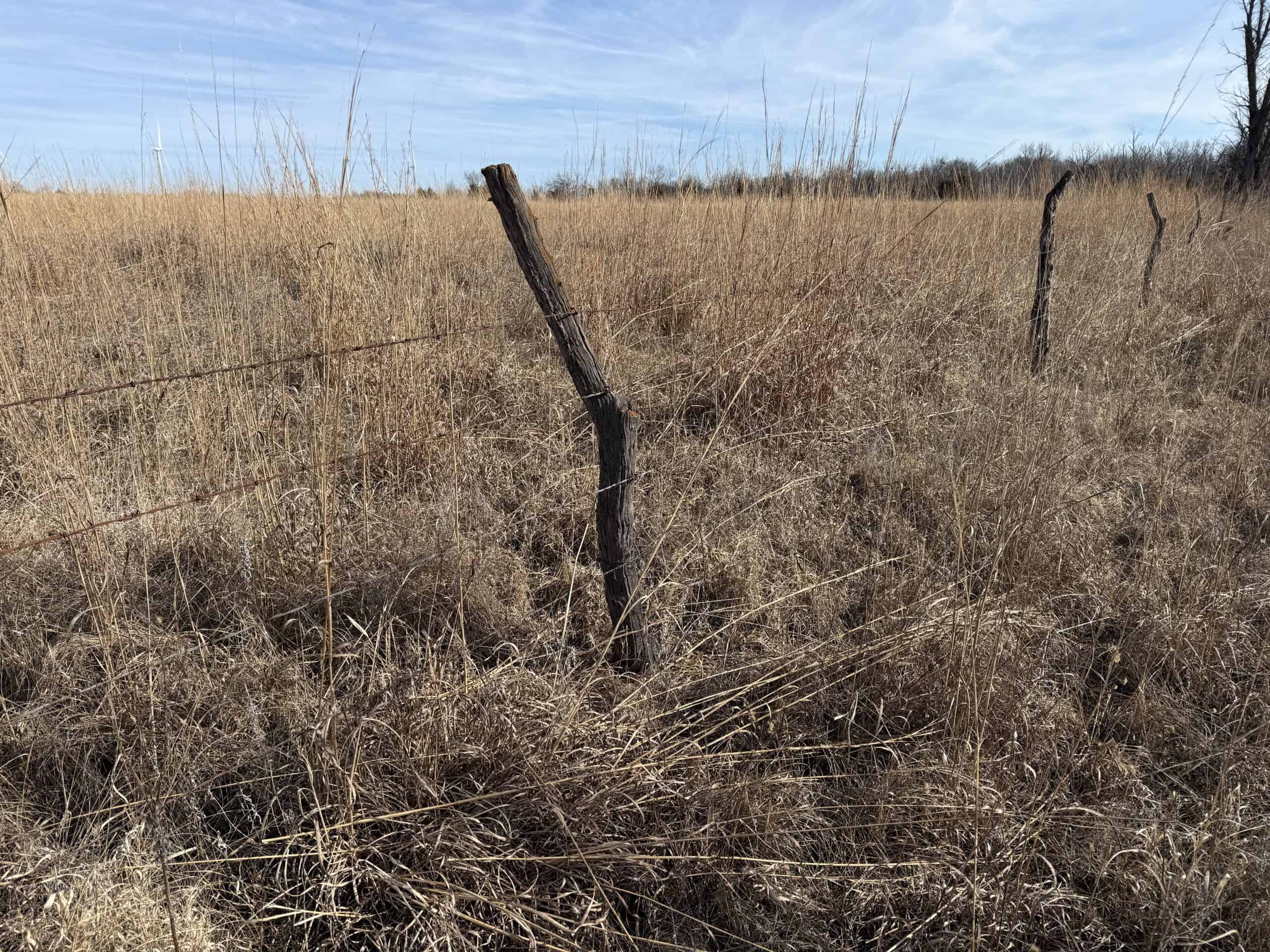 Excellent Building Site & Hunting Property in Coffey County Kansas