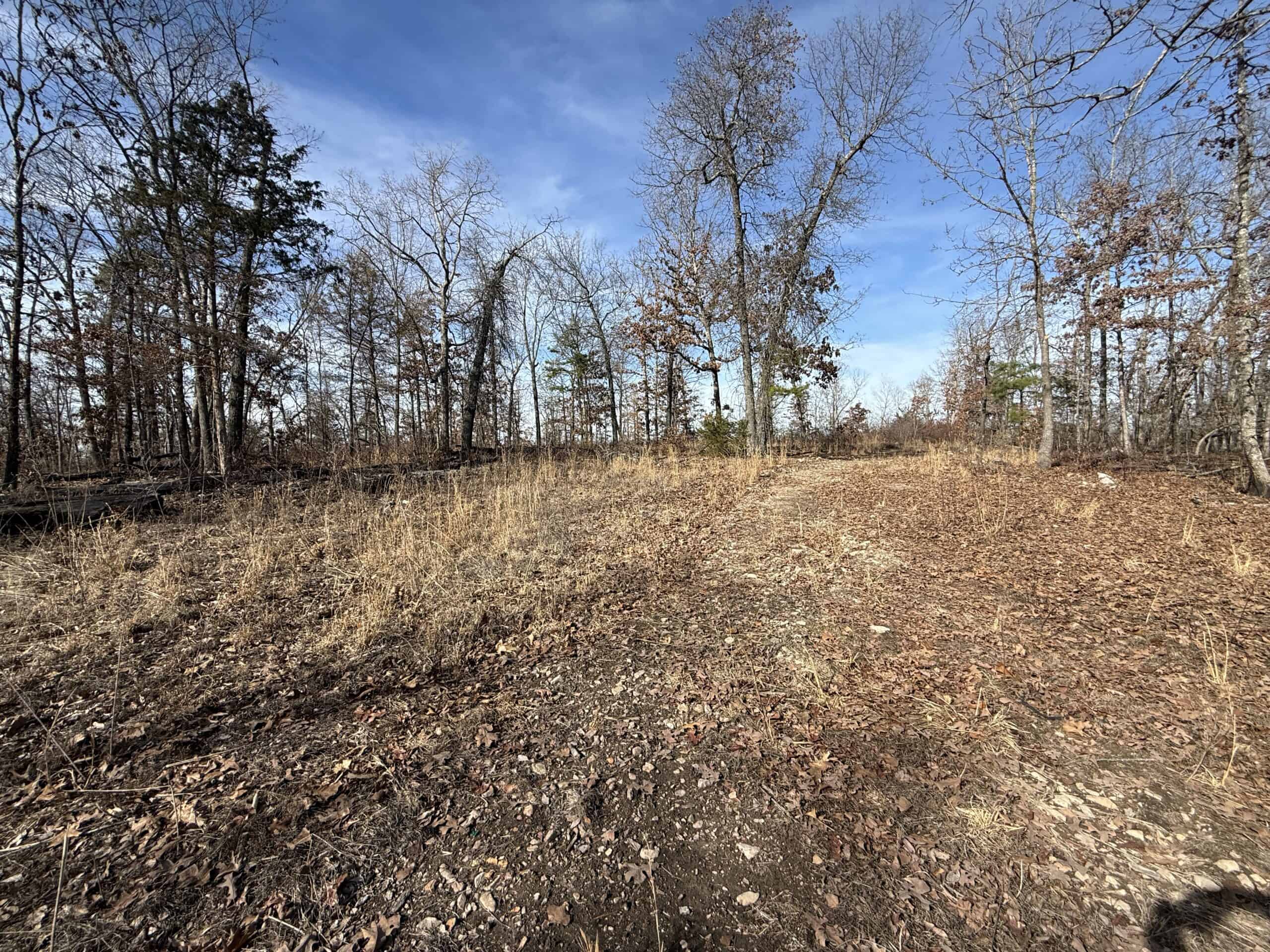 HUNTING AND RECREATIONAL LAND FOR SALE IN ARKANSAS