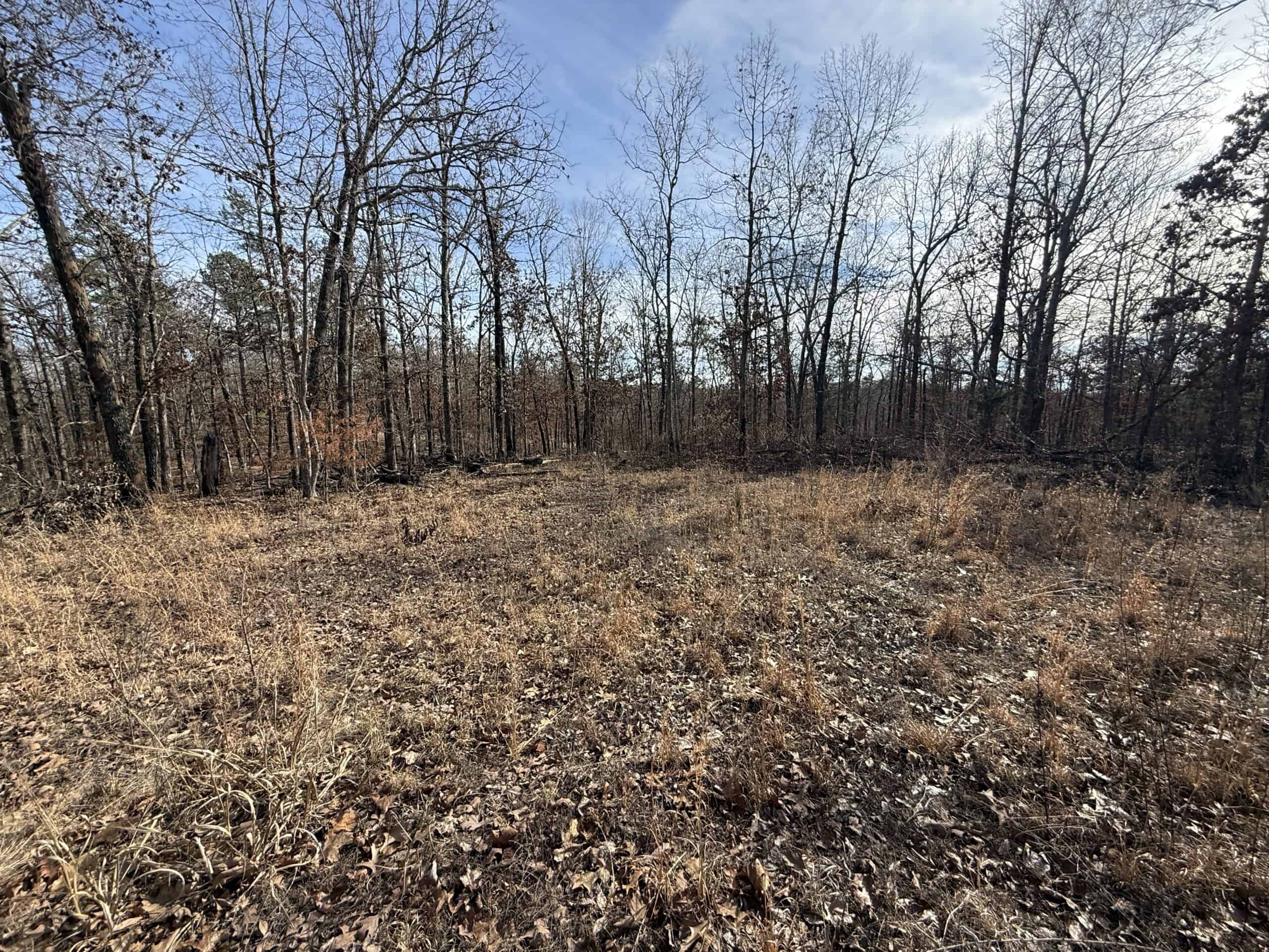 HUNTING AND RECREATIONAL LAND FOR SALE IN ARKANSAS