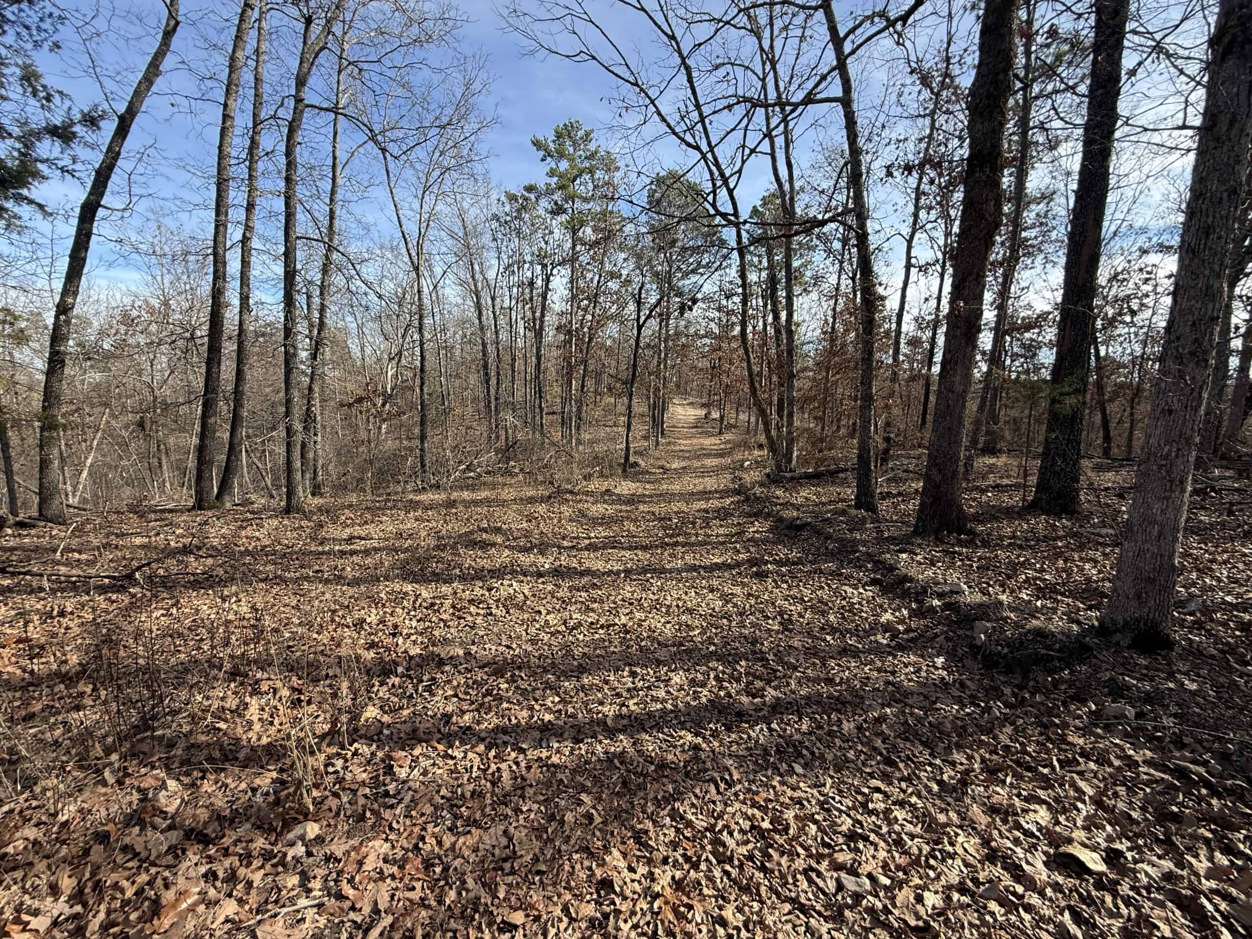 HUNTING AND RECREATIONAL LAND FOR SALE IN ARKANSAS