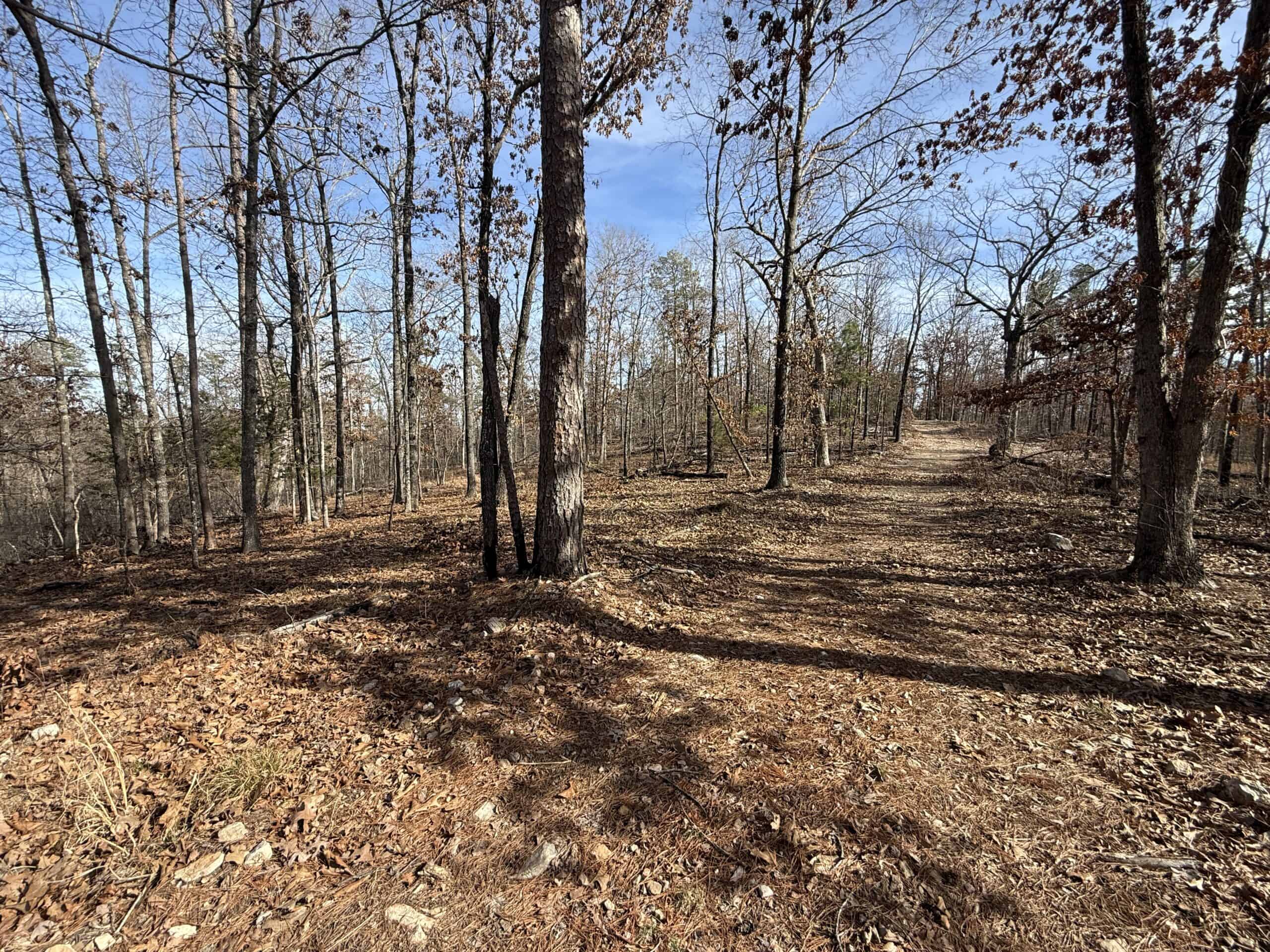 HUNTING AND RECREATIONAL LAND FOR SALE IN ARKANSAS