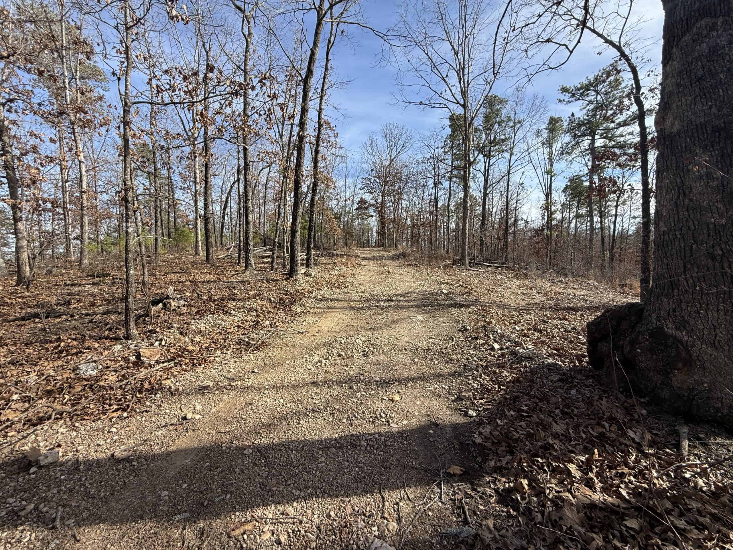 HUNTING AND RECREATIONAL LAND FOR SALE IN ARKANSAS