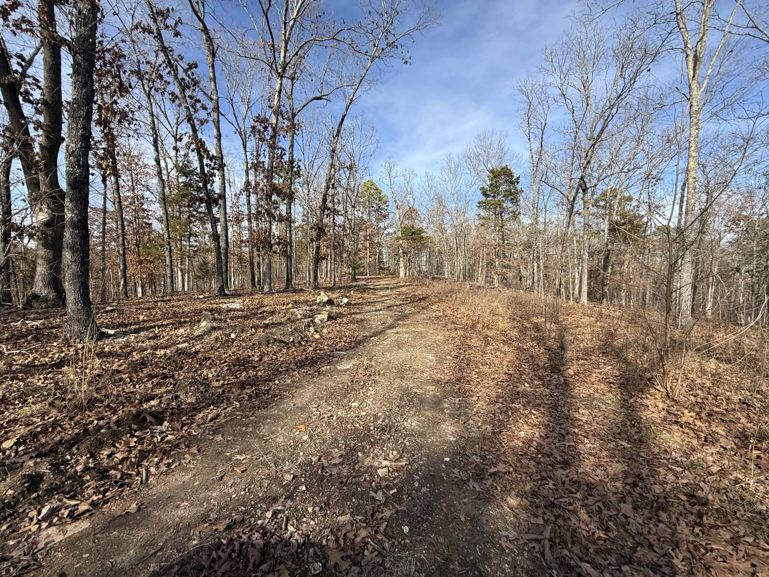 HUNTING AND RECREATIONAL LAND FOR SALE IN ARKANSAS