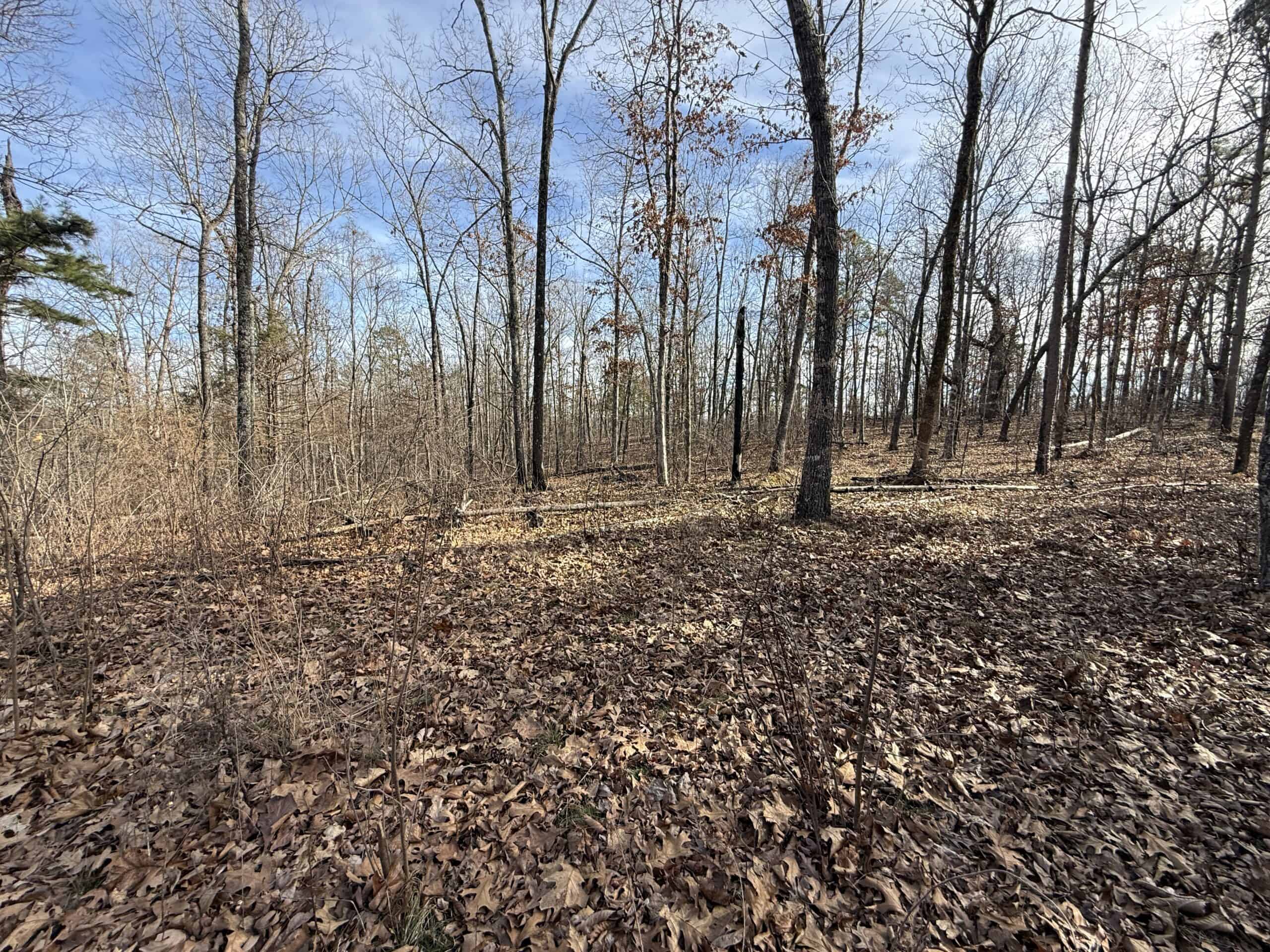 HUNTING AND RECREATIONAL LAND FOR SALE IN ARKANSAS