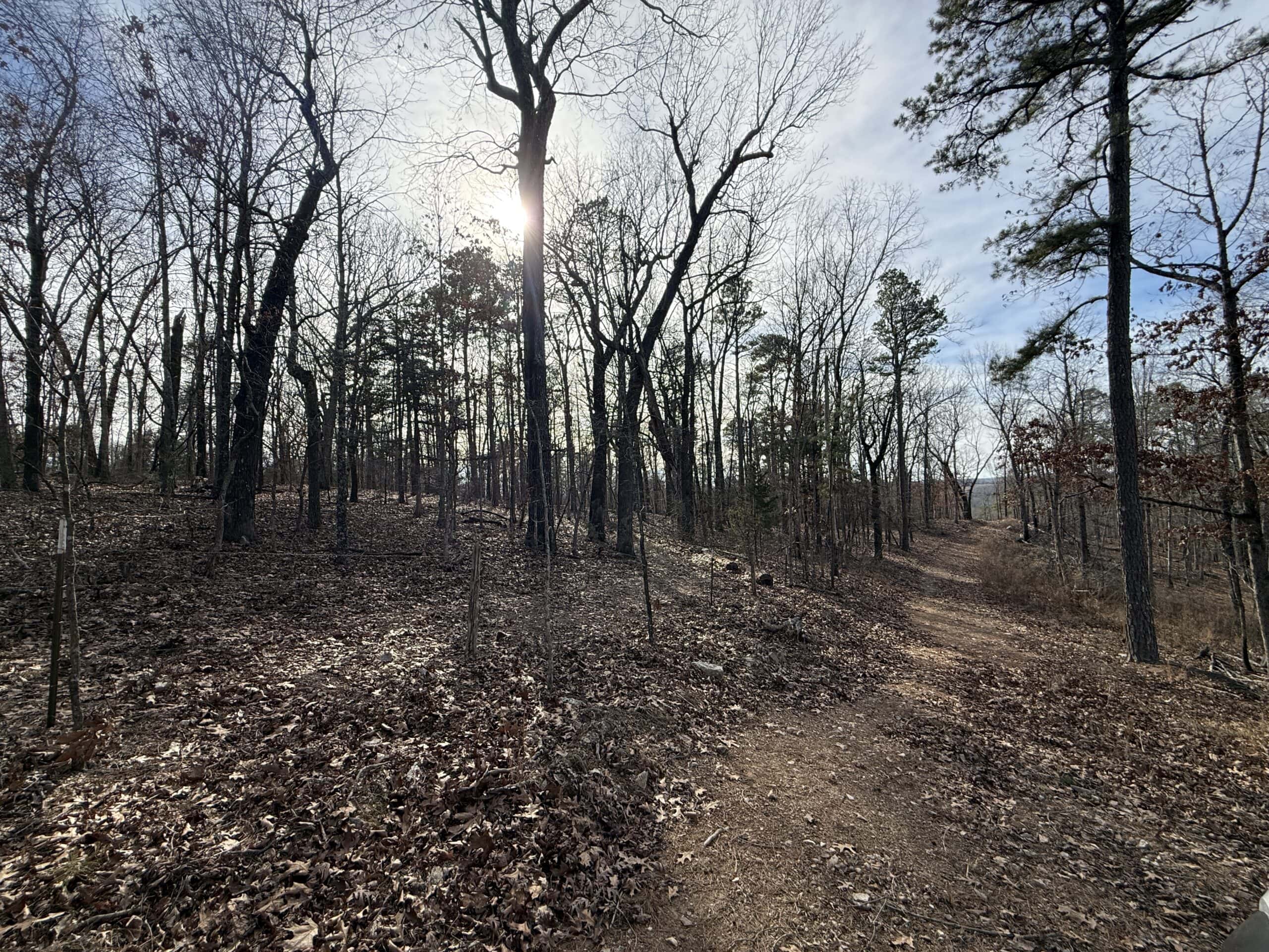 HUNTING AND RECREATIONAL LAND FOR SALE IN ARKANSAS
