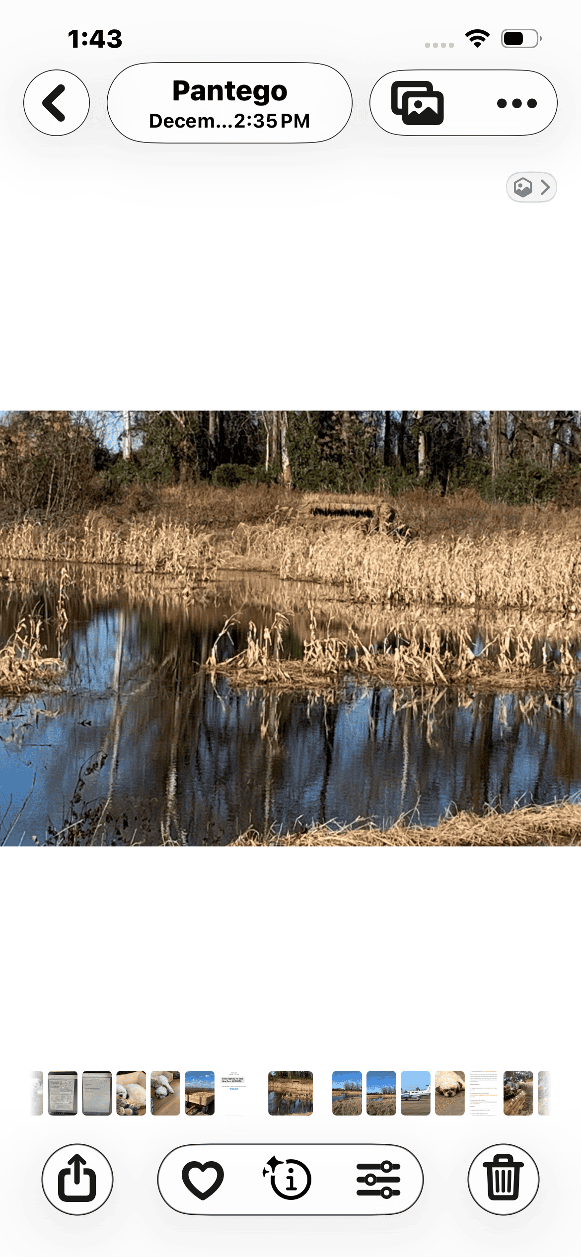 43-Acre Hunting & Farm Land Near Pungo Refuge on Hwy 45