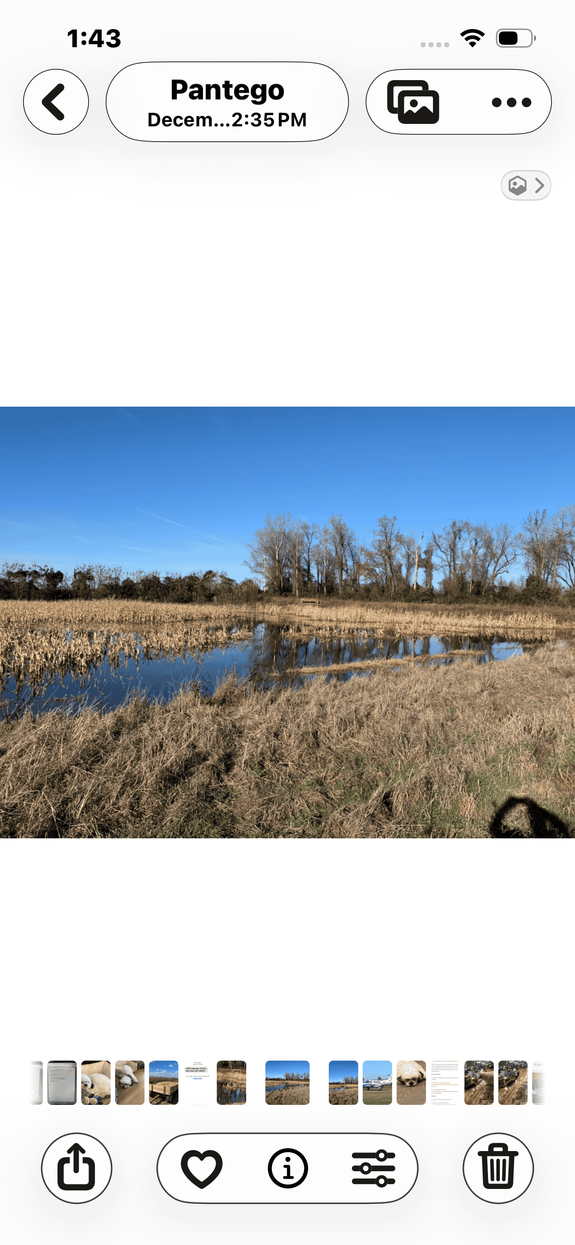 43-Acre Hunting & Farm Land Near Pungo Refuge on Hwy 45