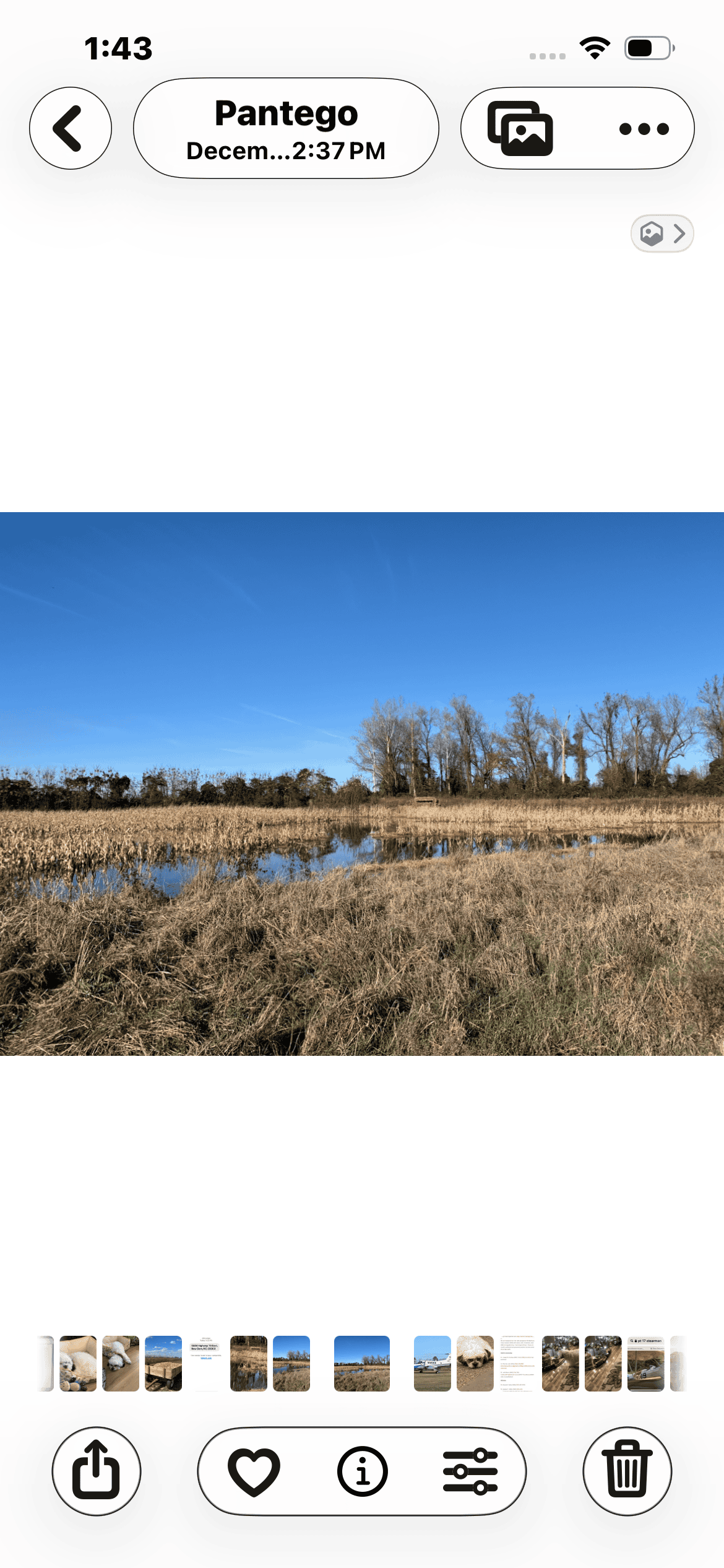 43-Acre Hunting & Farm Land Near Pungo Refuge on Hwy 45