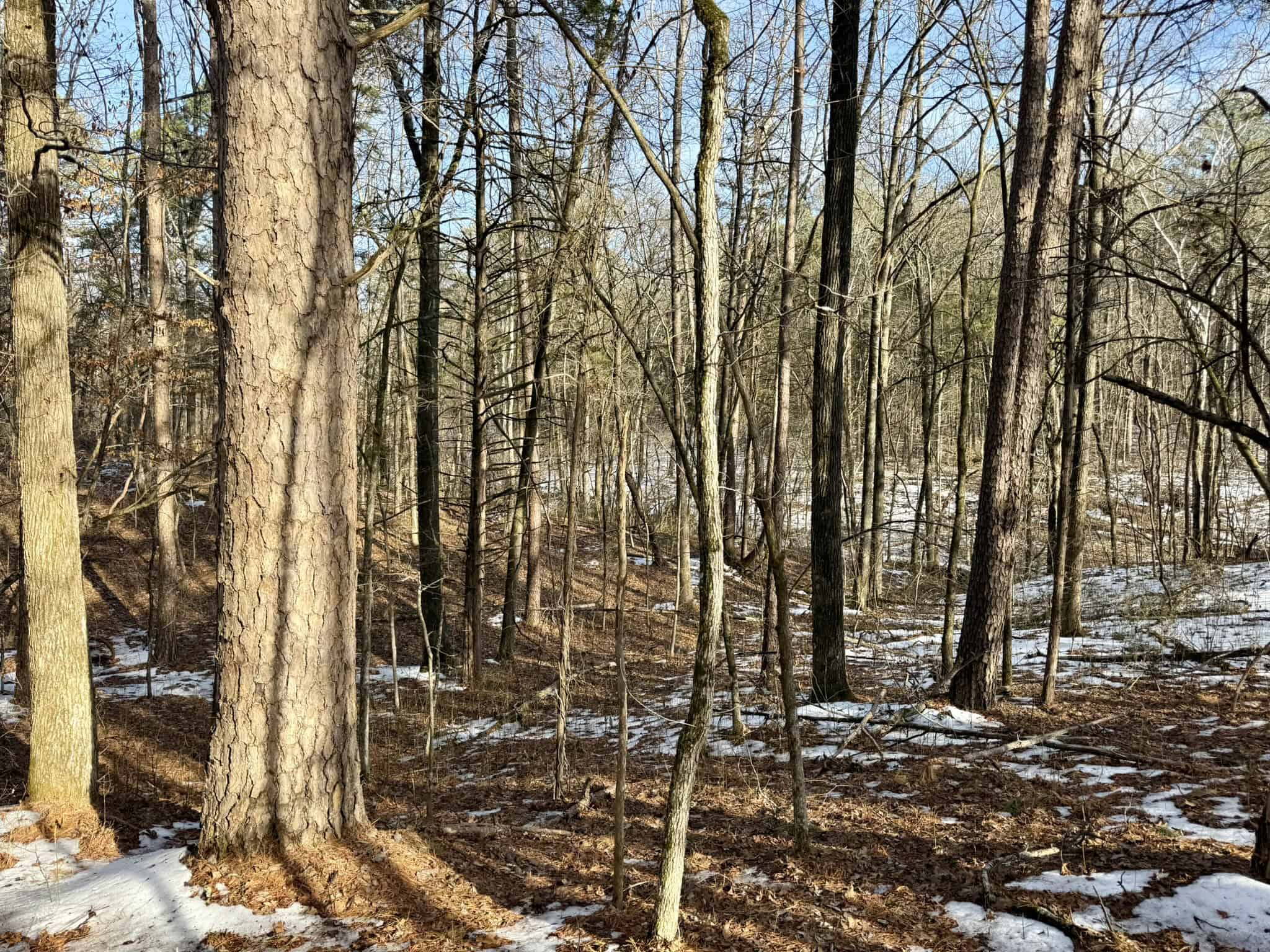 RIVERFRONT ACREAGE FOR SALE IN NORTH CENTRAL ARKANSAS