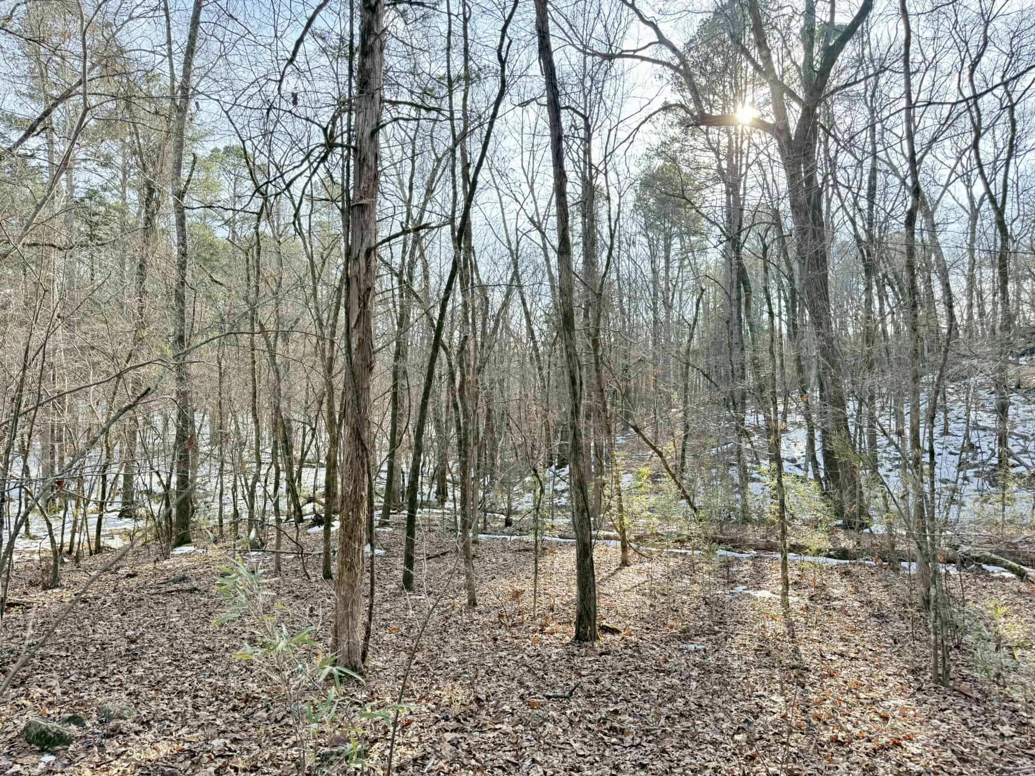 RIVERFRONT ACREAGE FOR SALE IN NORTH CENTRAL ARKANSAS