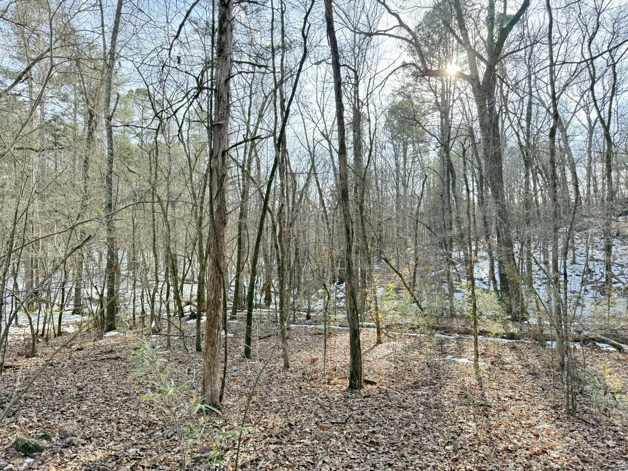 RIVERFRONT ACREAGE FOR SALE IN NORTH CENTRAL ARKANSAS