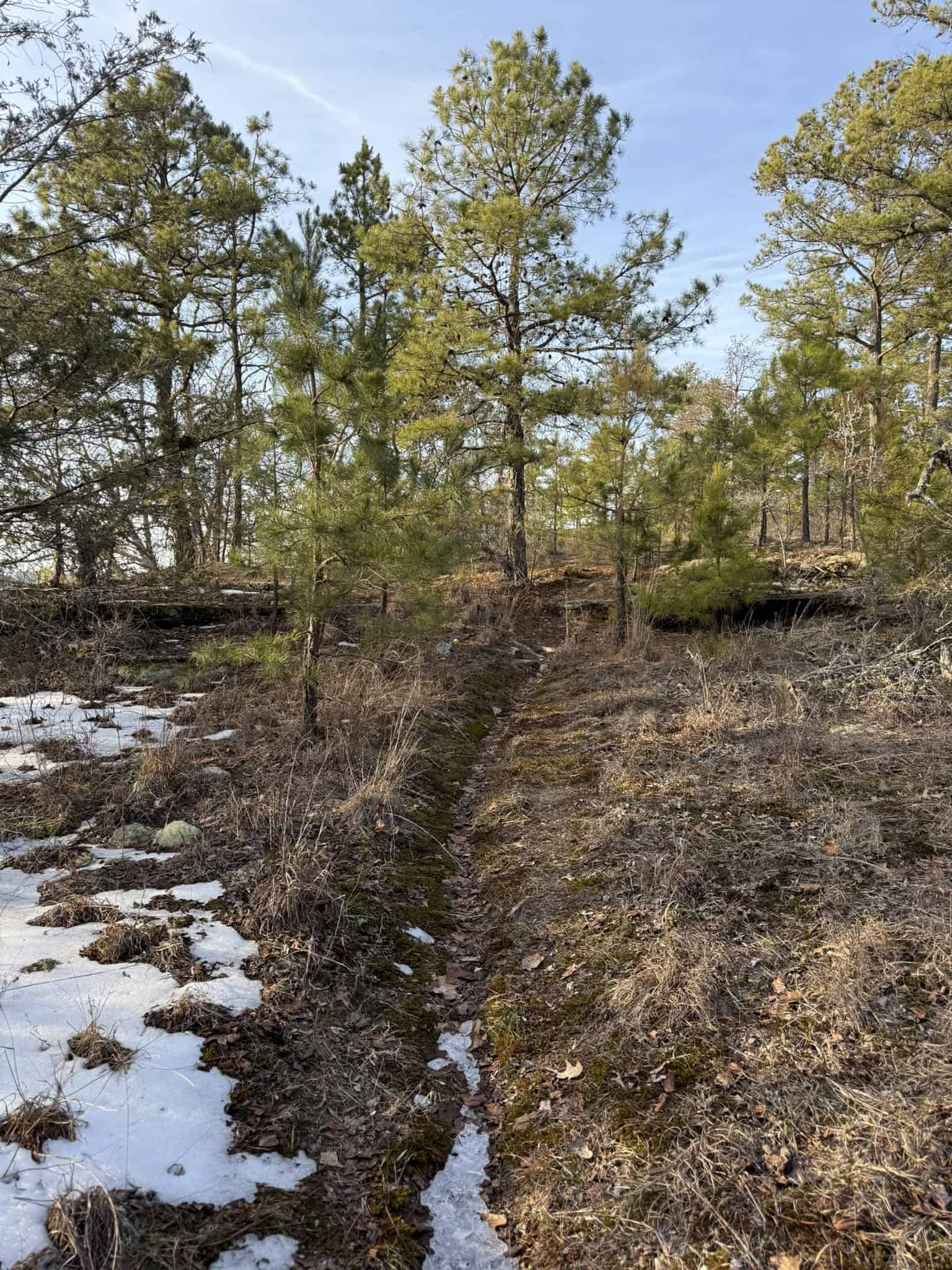 RIVERFRONT ACREAGE FOR SALE IN NORTH CENTRAL ARKANSAS